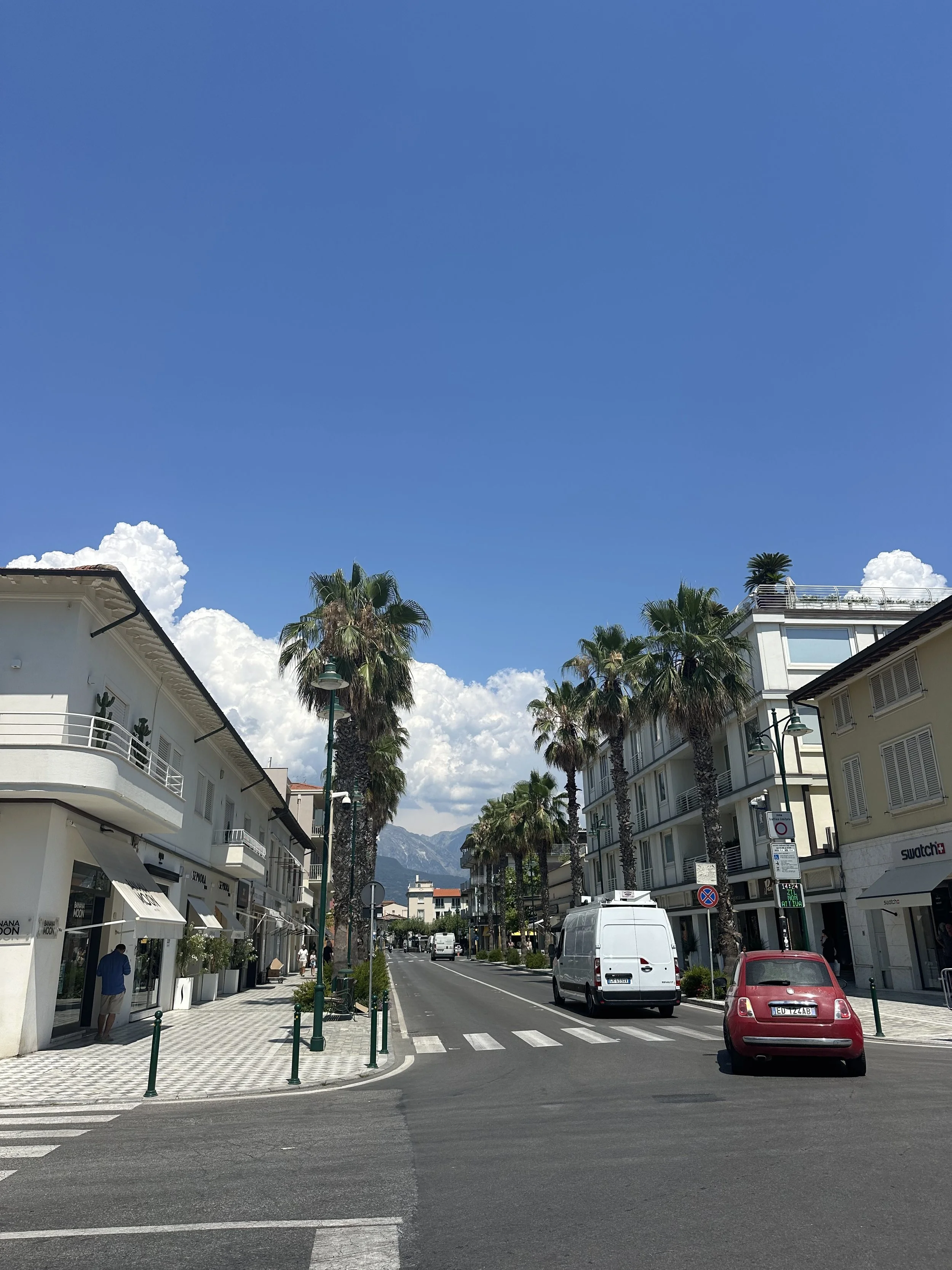 IMG_7502.jpeg