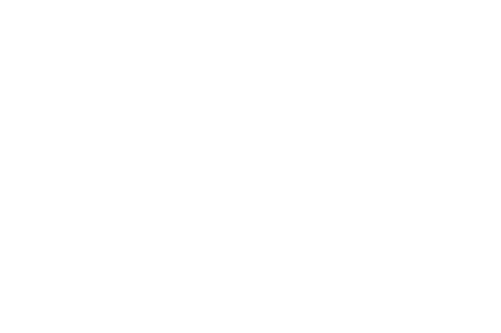 OFFICIAL SELECTION - Toronto International Women Film Festival - 2021 (2).png