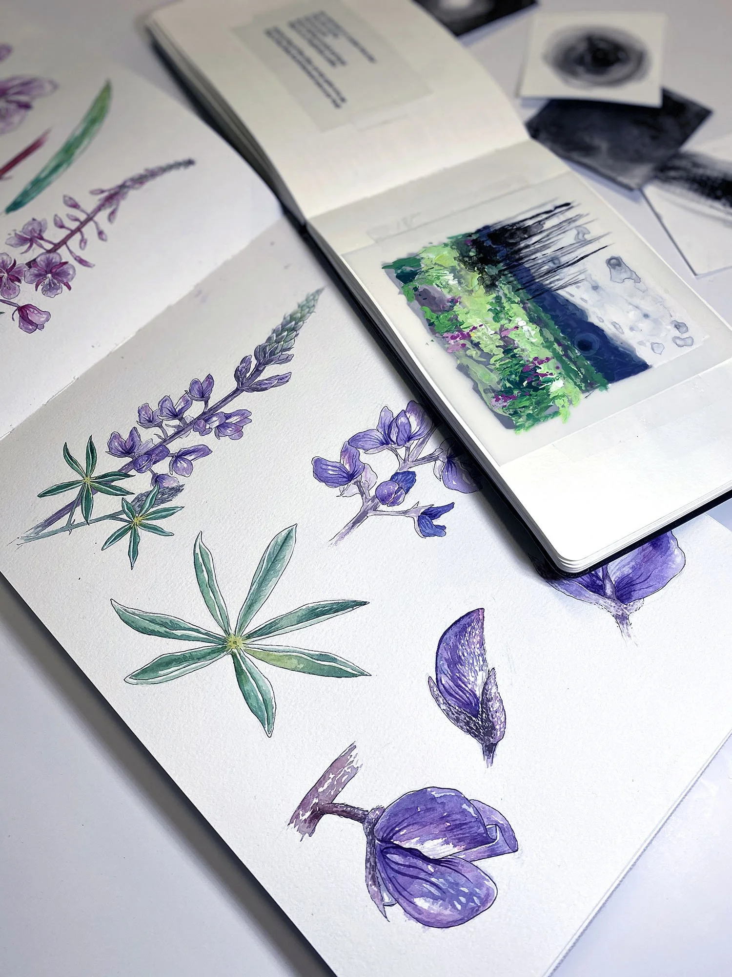 Portfolio_FireFollowers_Studies_03.jpg