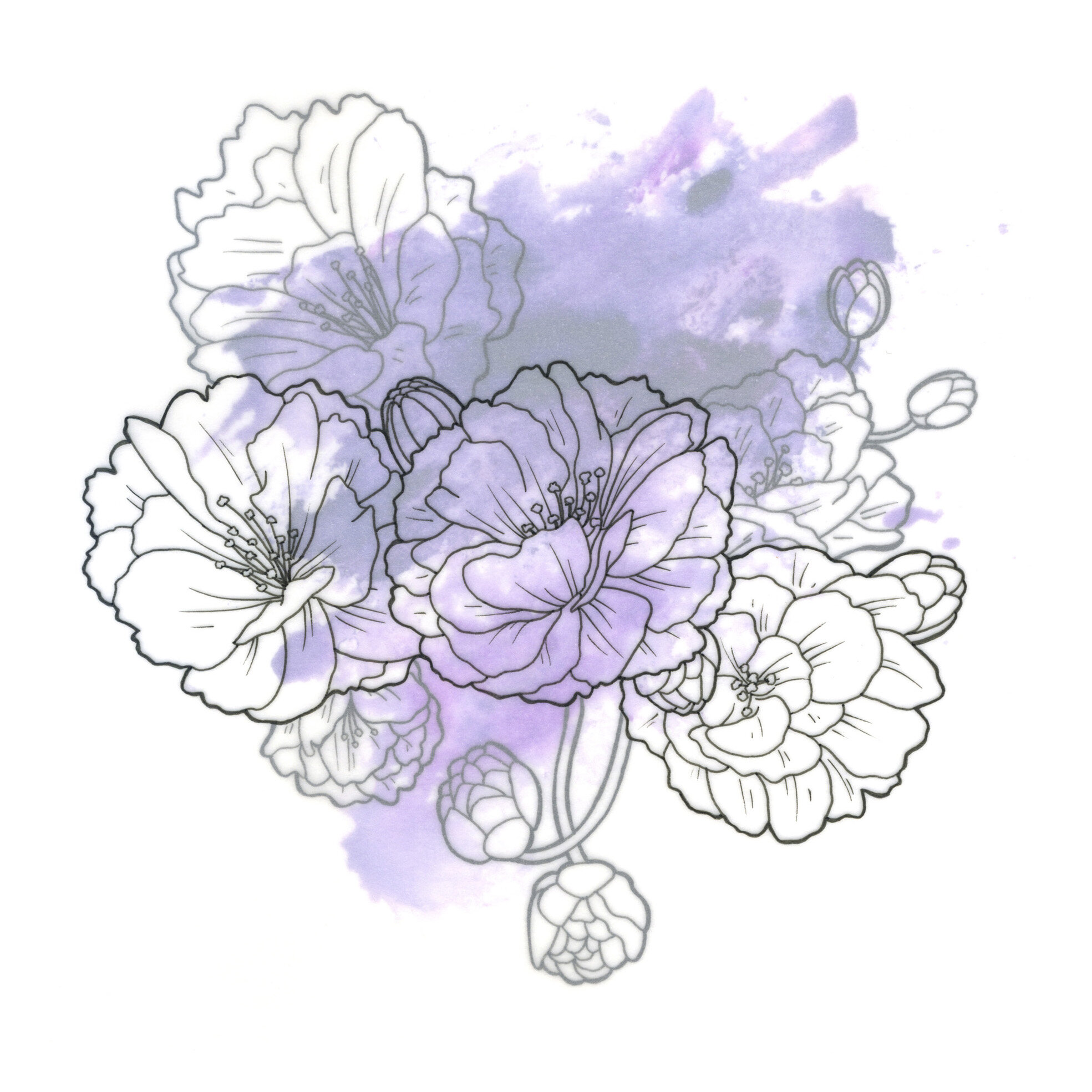 Songs of spring