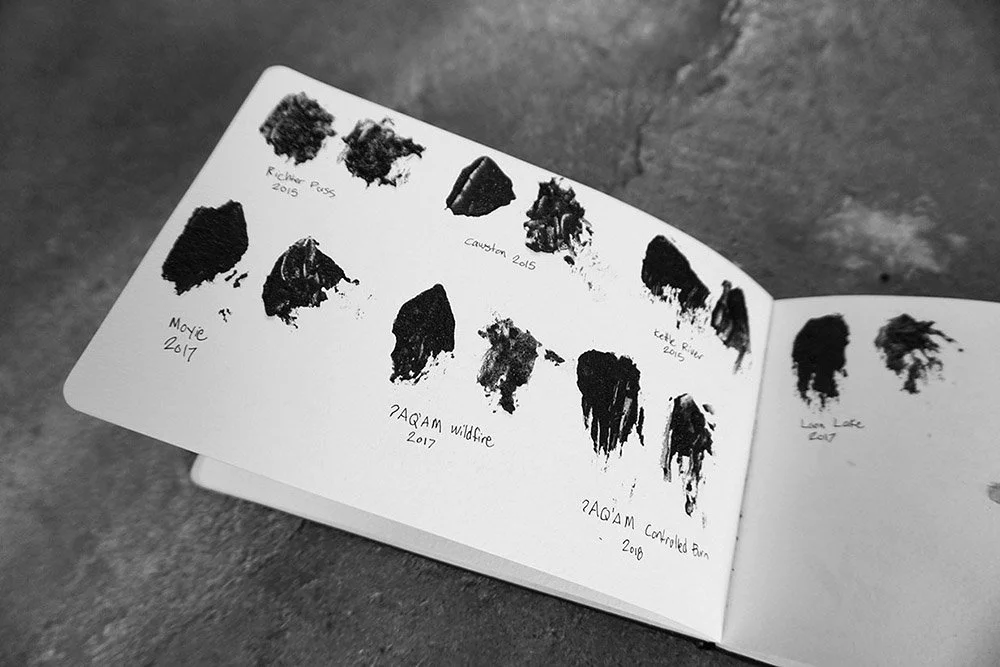 Portfolio_FireFollowers_Studies_06.jpg