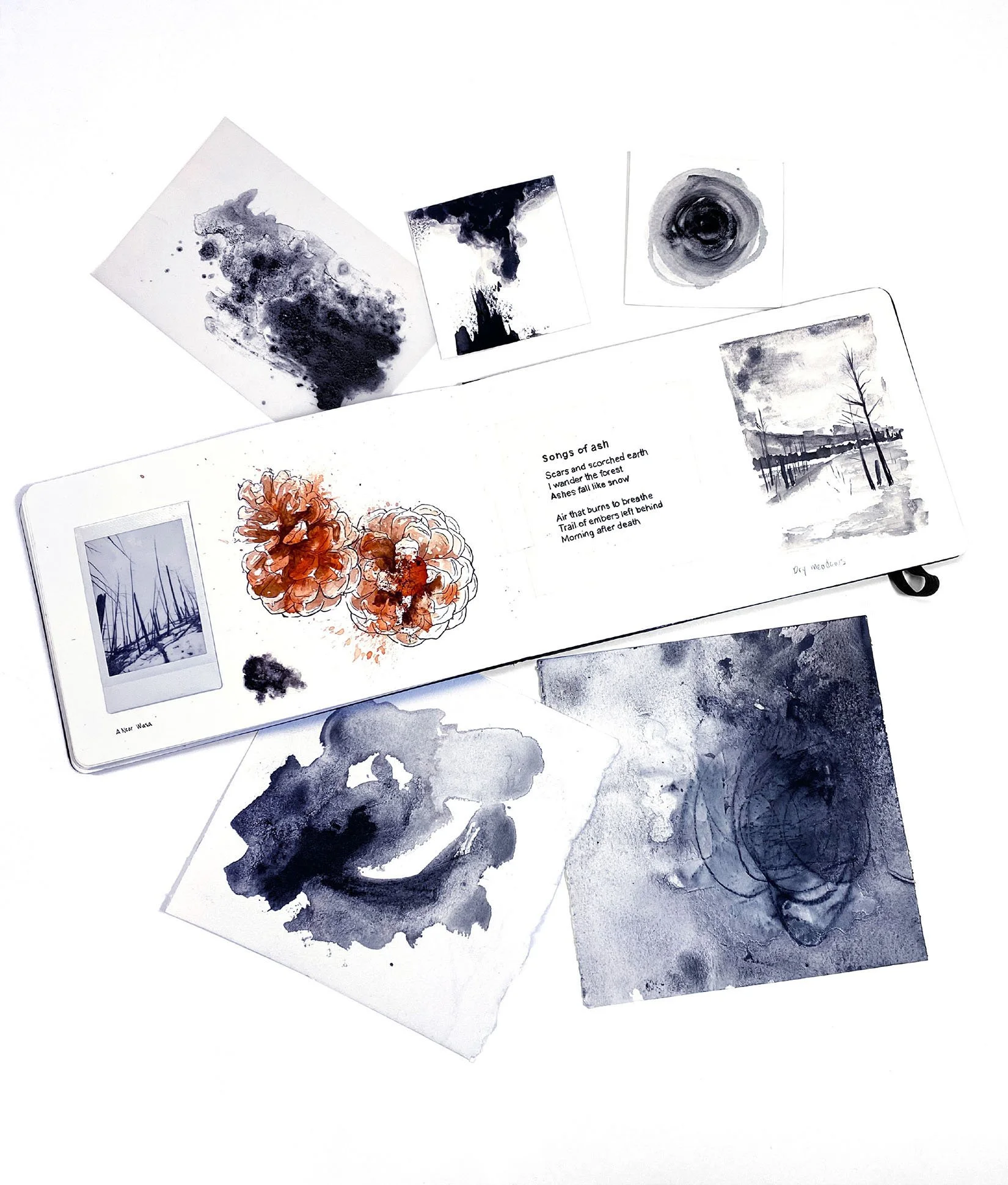 Portfolio_FireFollowers_Studies_05.jpg