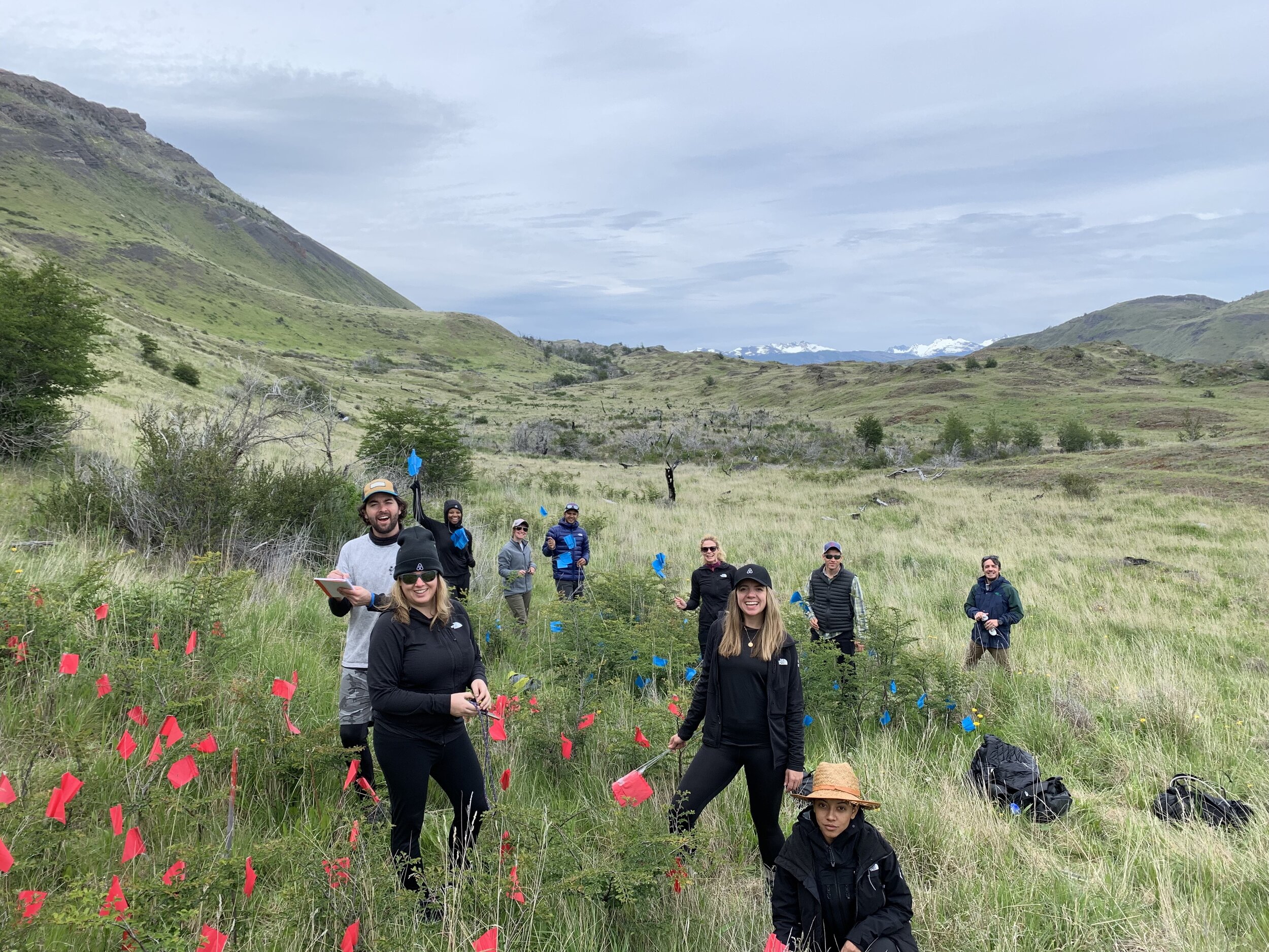 Desarrollo Comunitario Torres del Paine