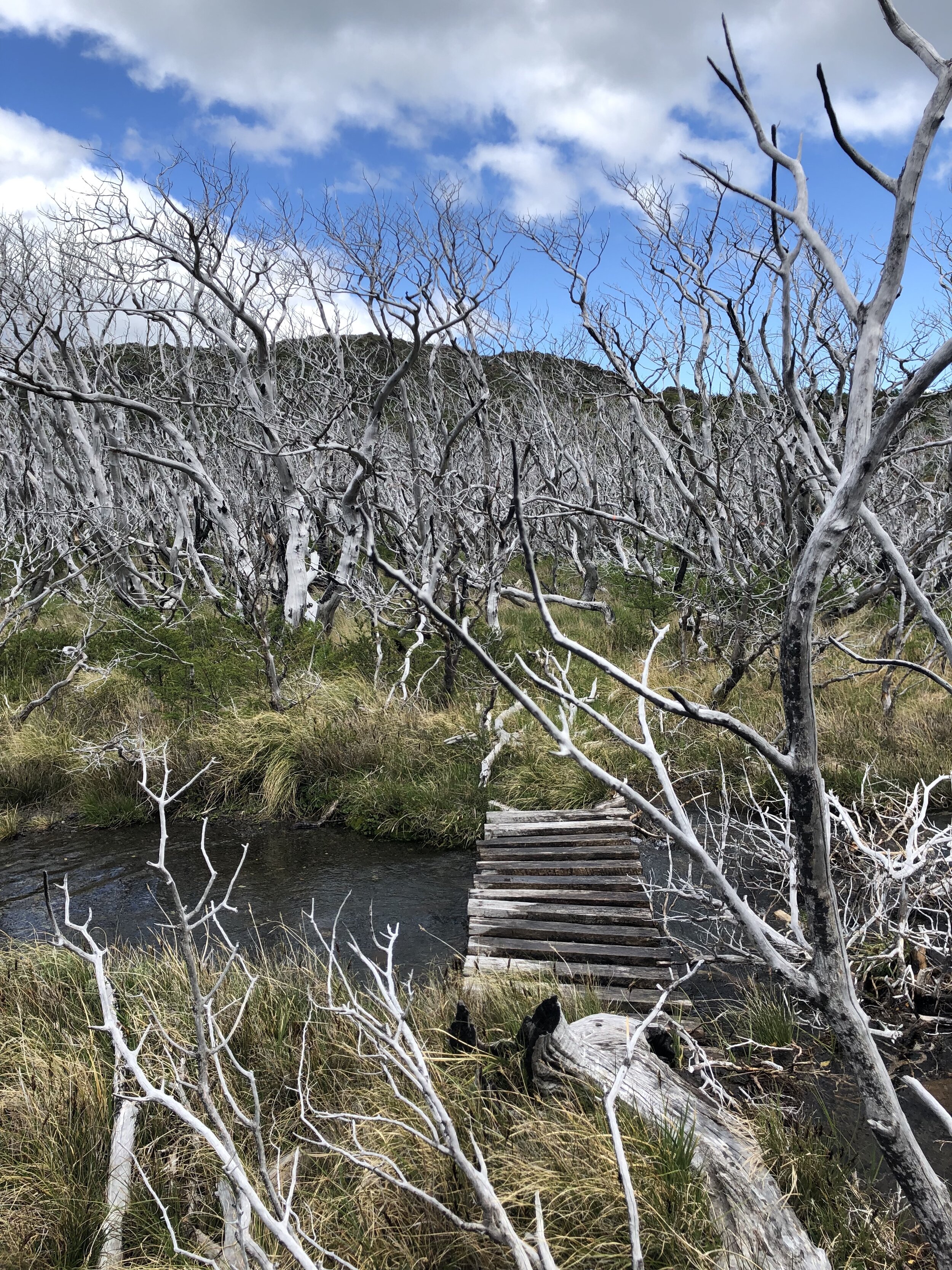 Puente quemado.jpg