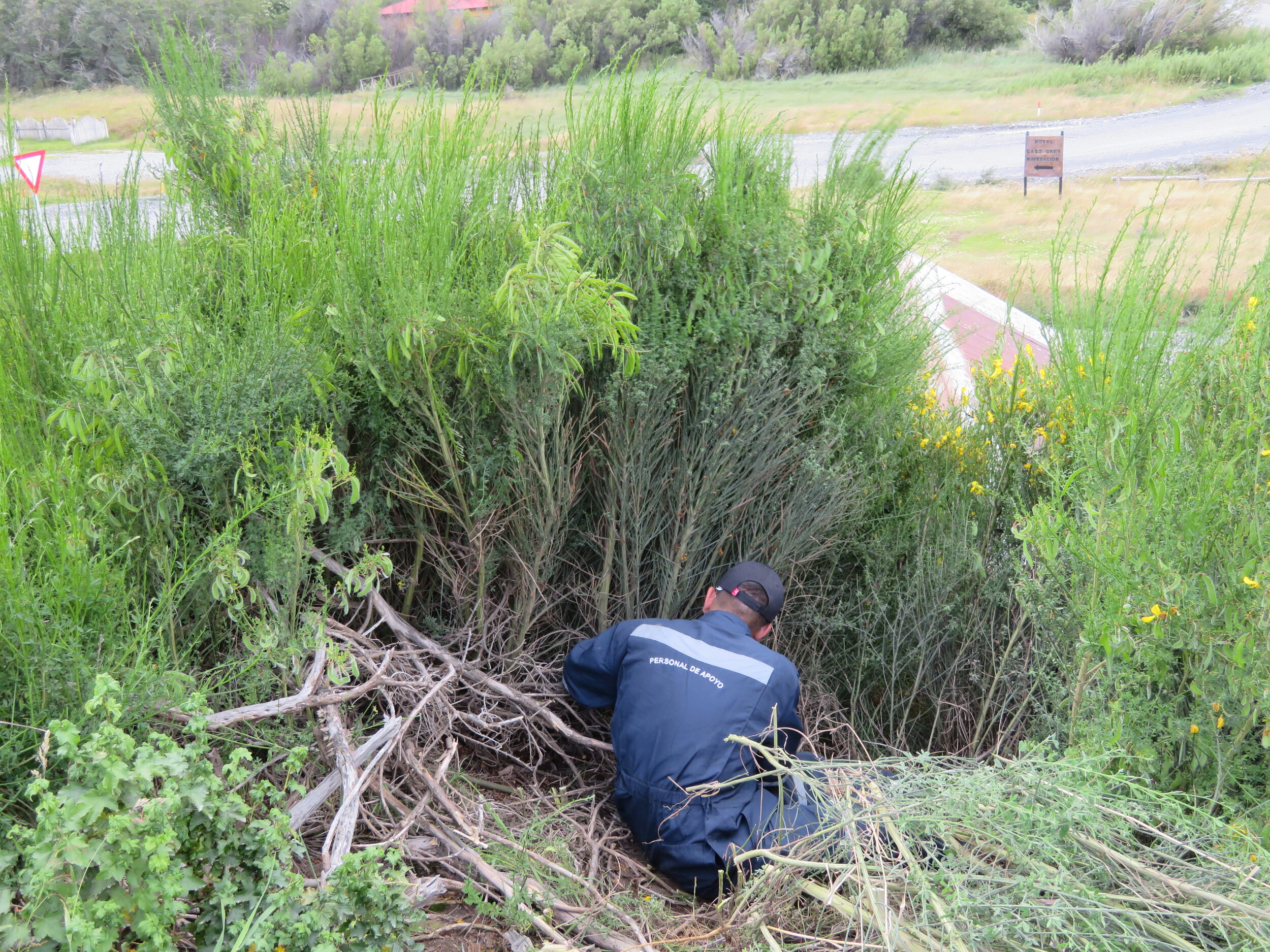 Conservación_Gestión_Patagonia_TorresDelPaine