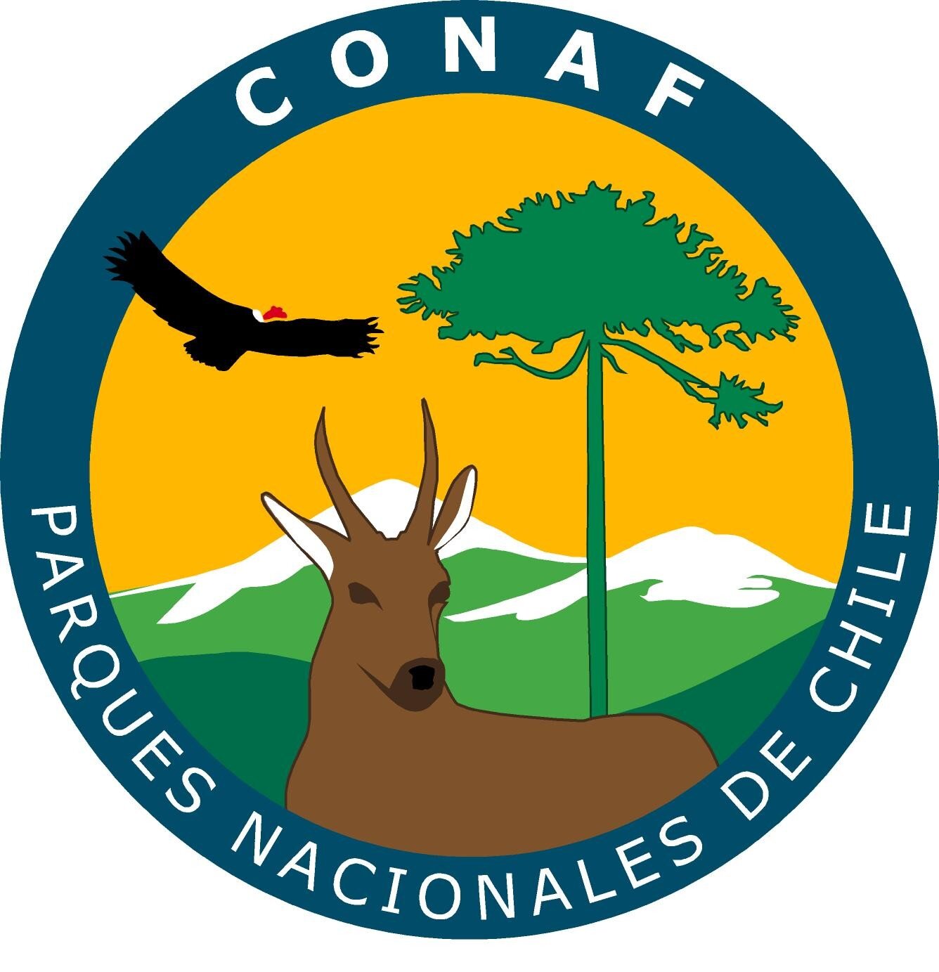 CONAF_Logo