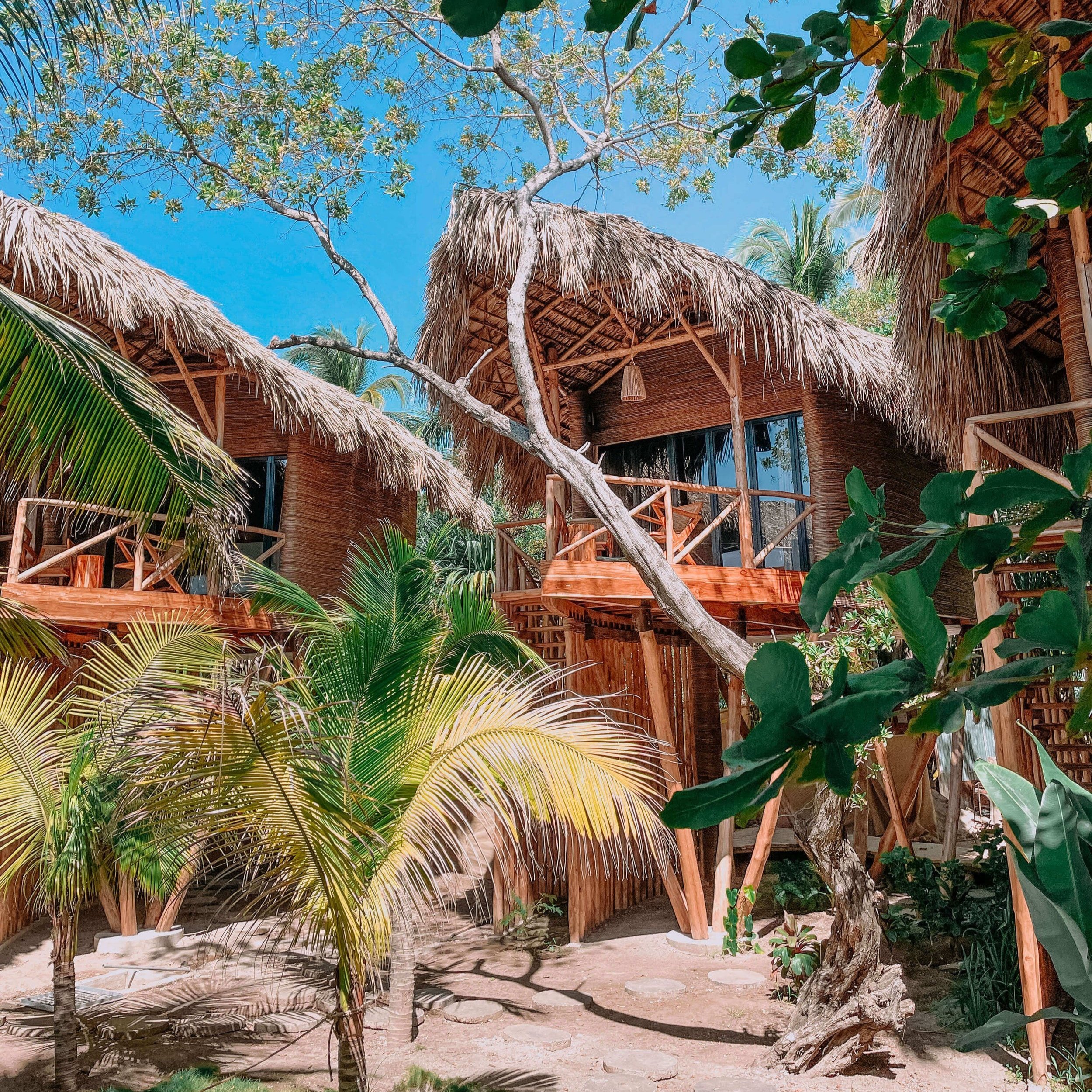 Copy of Copy of Jungle-Treehouse-Garden-View-2.jpg