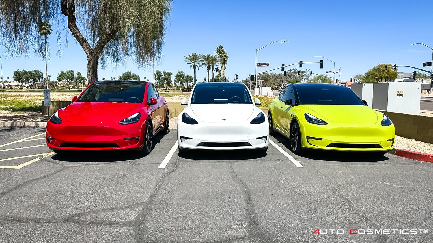 Specialized Tesla PPF Installation by Auto Cosmetics, Near Gilbert