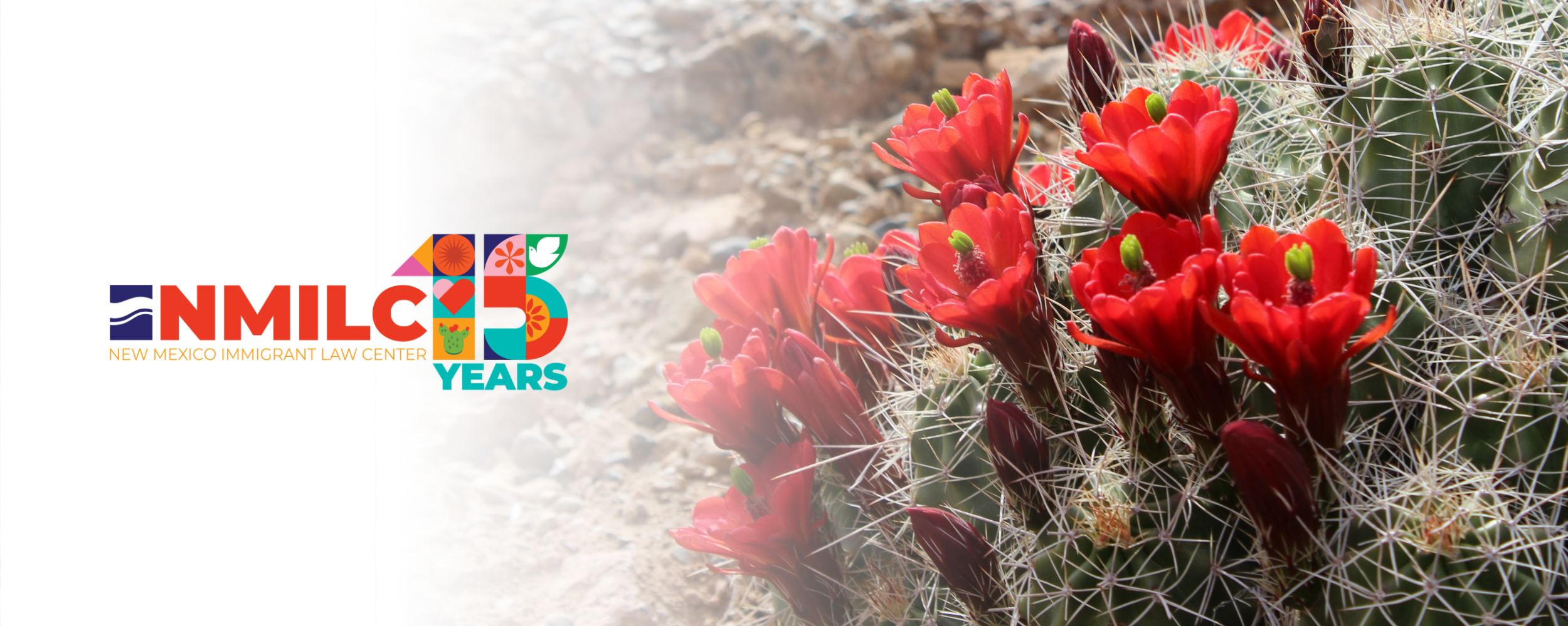 
Celebrate 15 years of immigrant justice