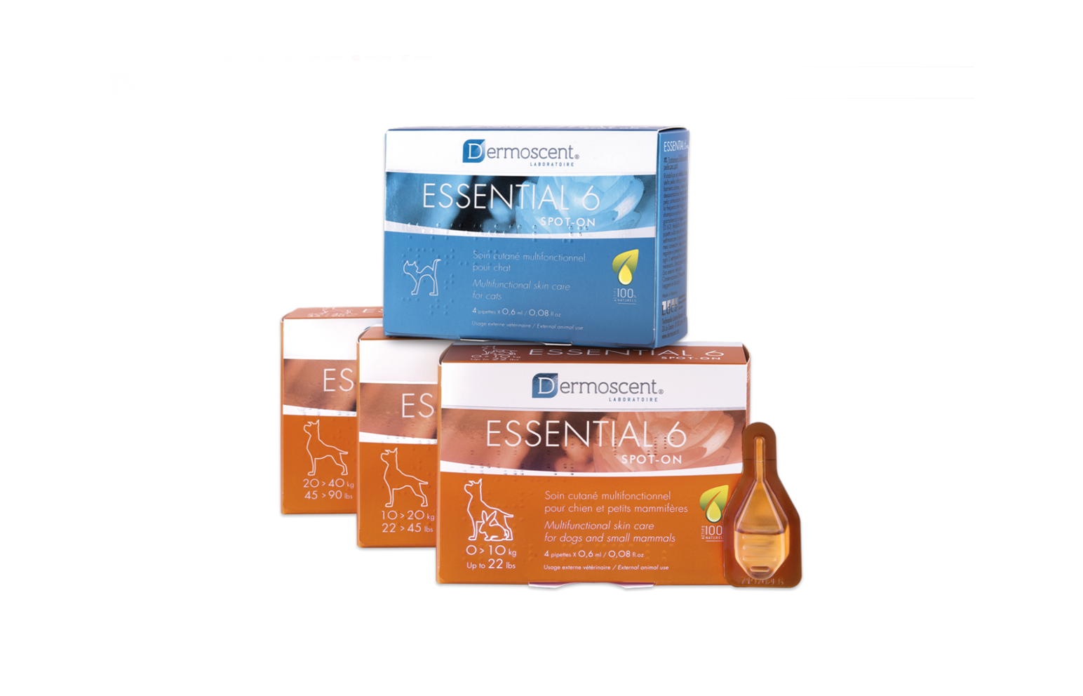 essential 6 for cats