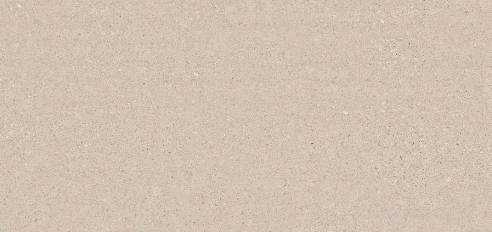 Avorio