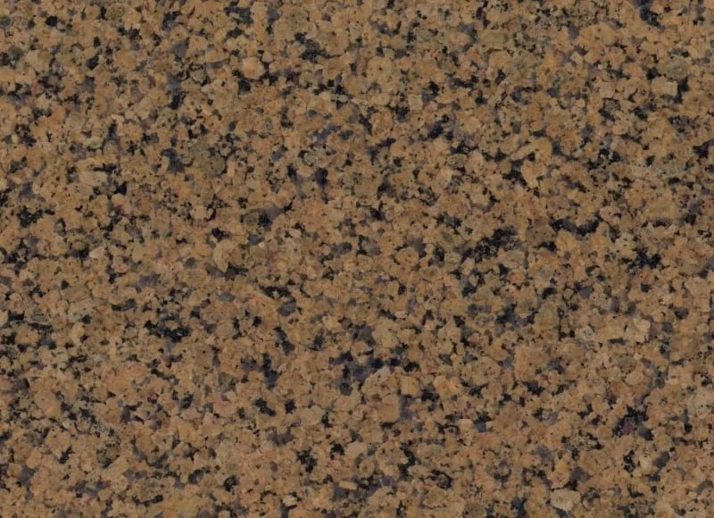 Tropical Brown