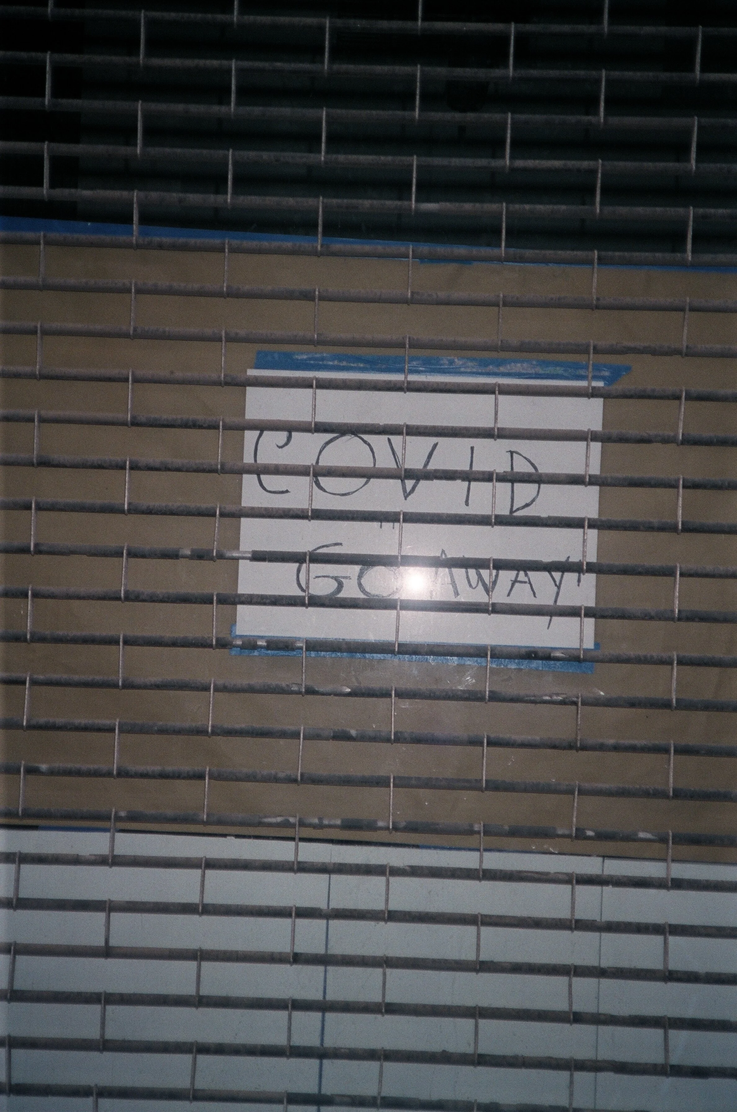13490019.JPG