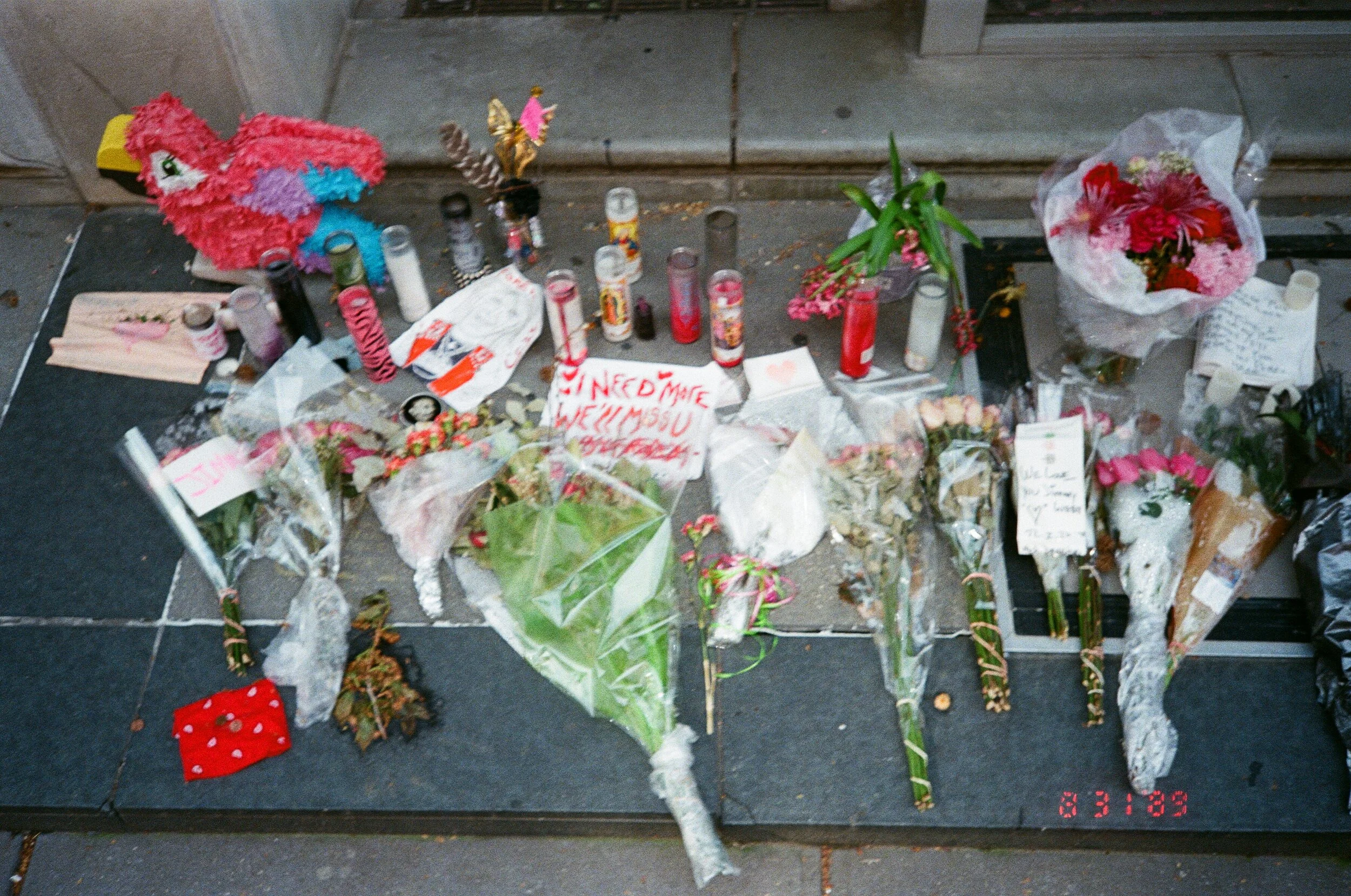 jimmy rip