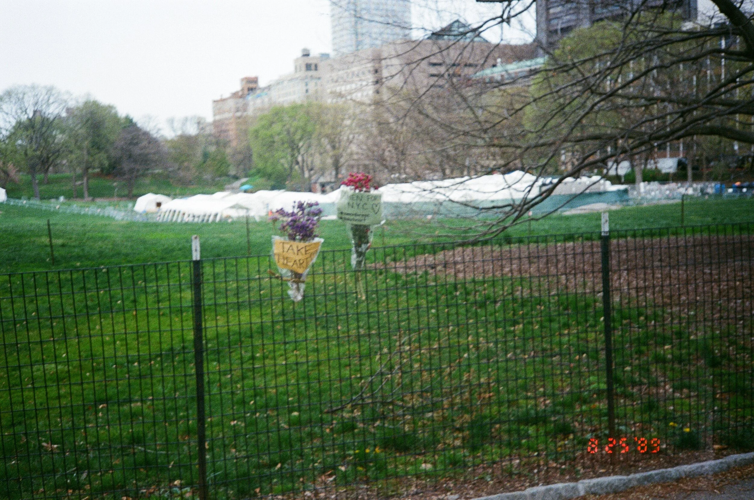 preachers son paradise central park bullshit
