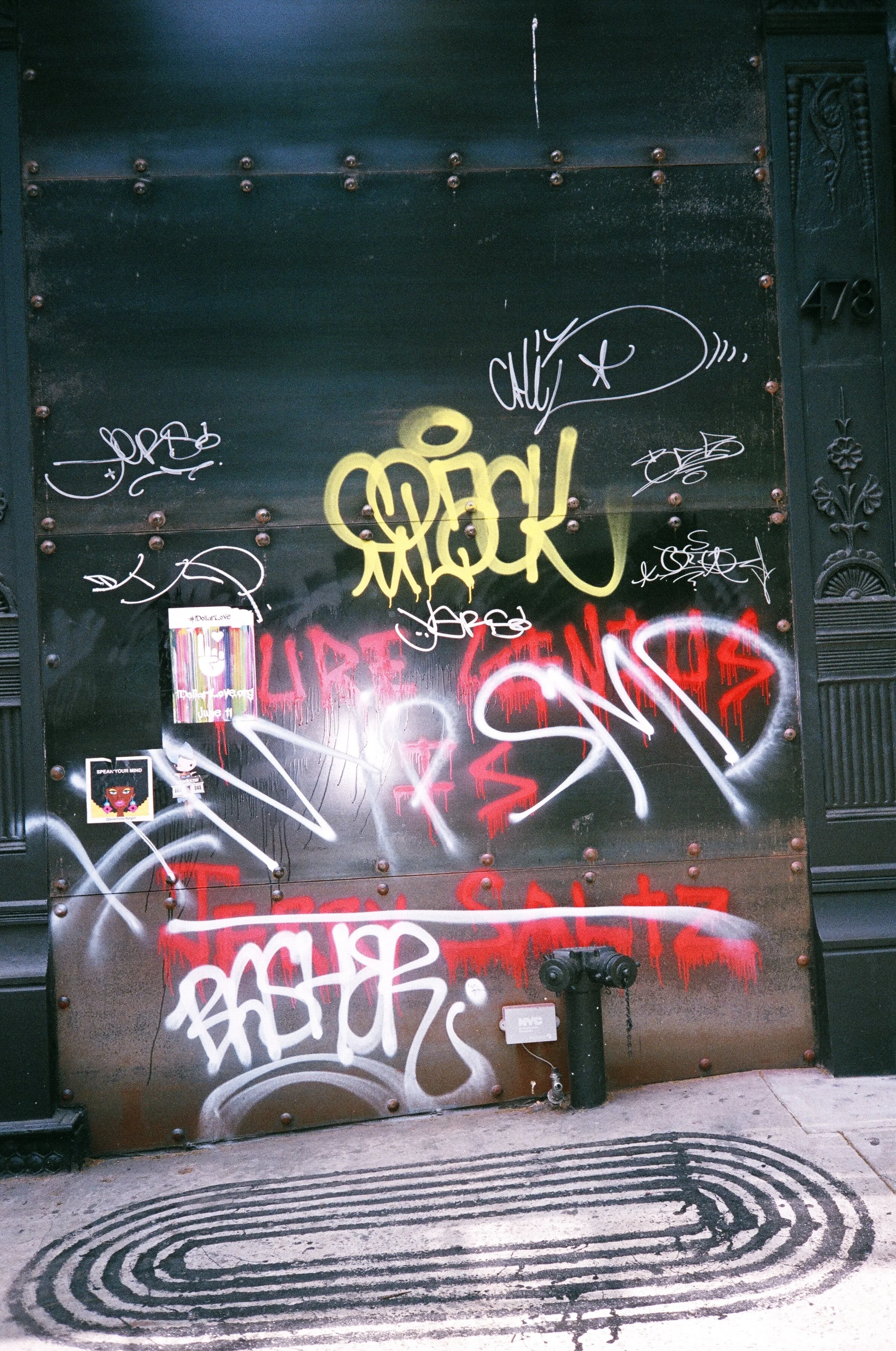 15920019.JPG
