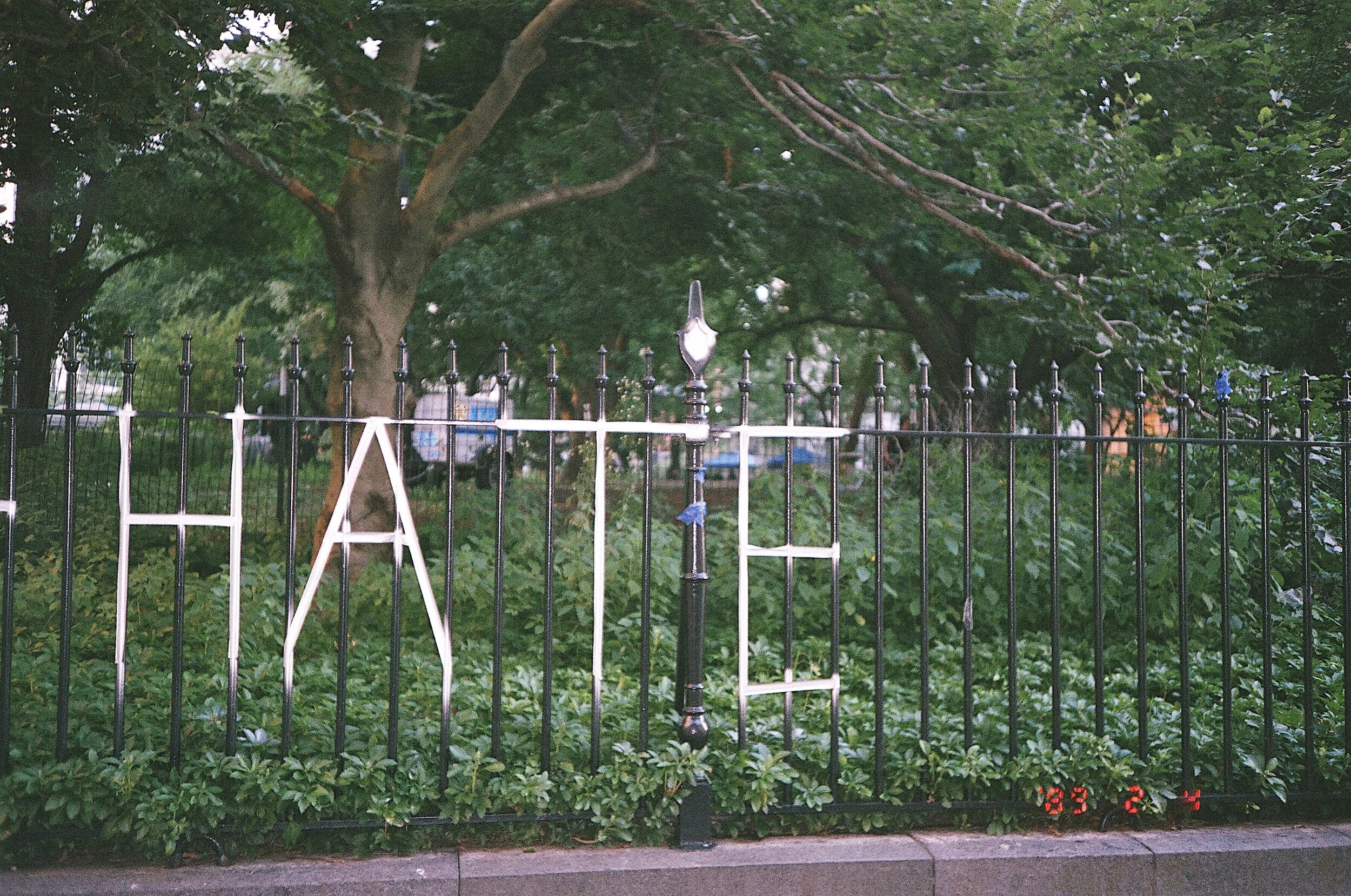 47850033.JPG