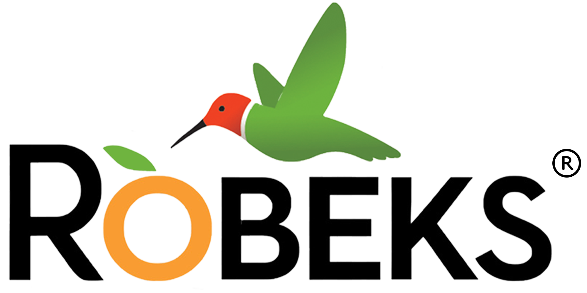 ROBEKS Logo 2.png