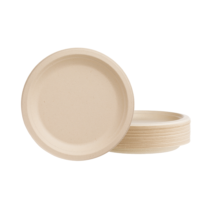 100% Compostable Paper Plates 10 inch Bulk [500 Count] Heavy-Duty Dinner Plates with Compartments - Natural White Color Bagasse - Eco-Friendly