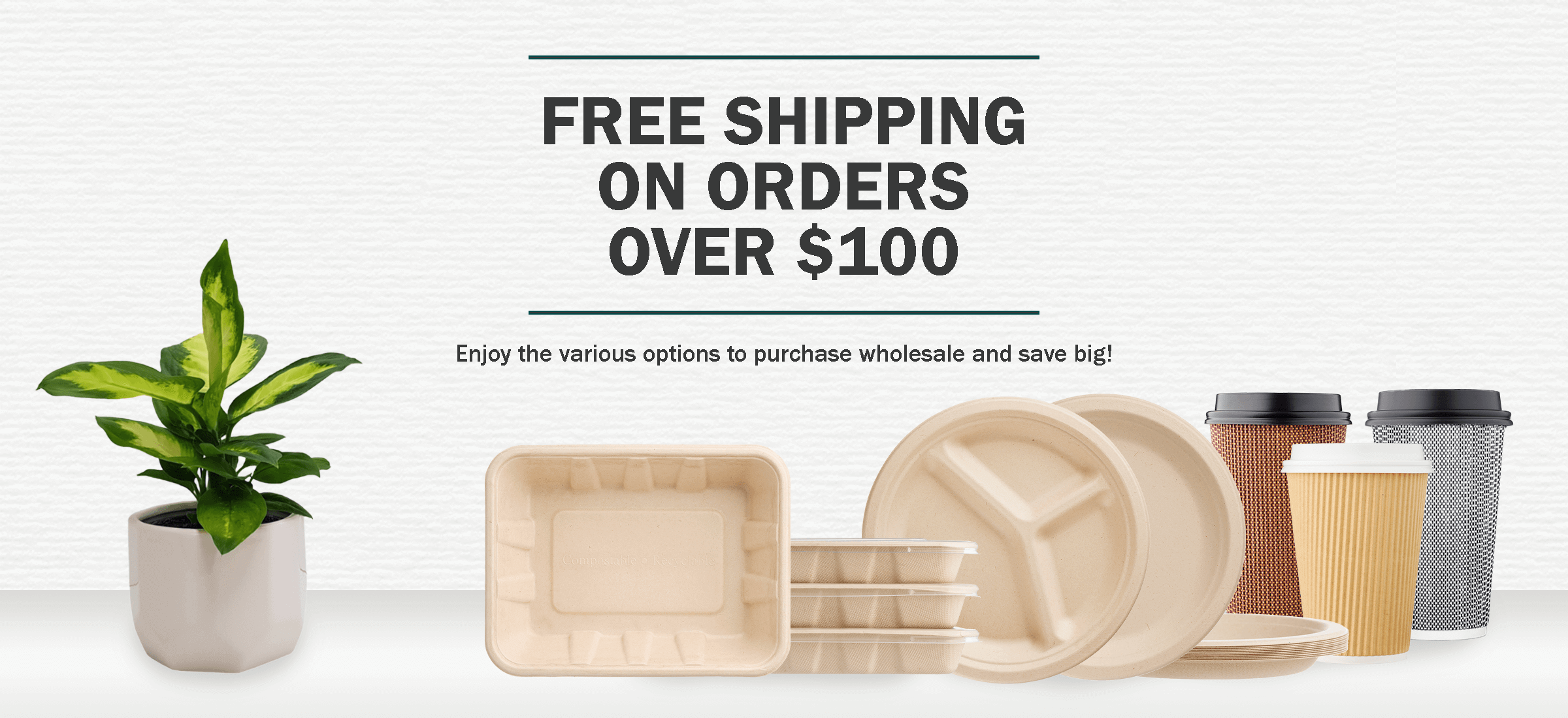 FREESHIPPING100-2.png