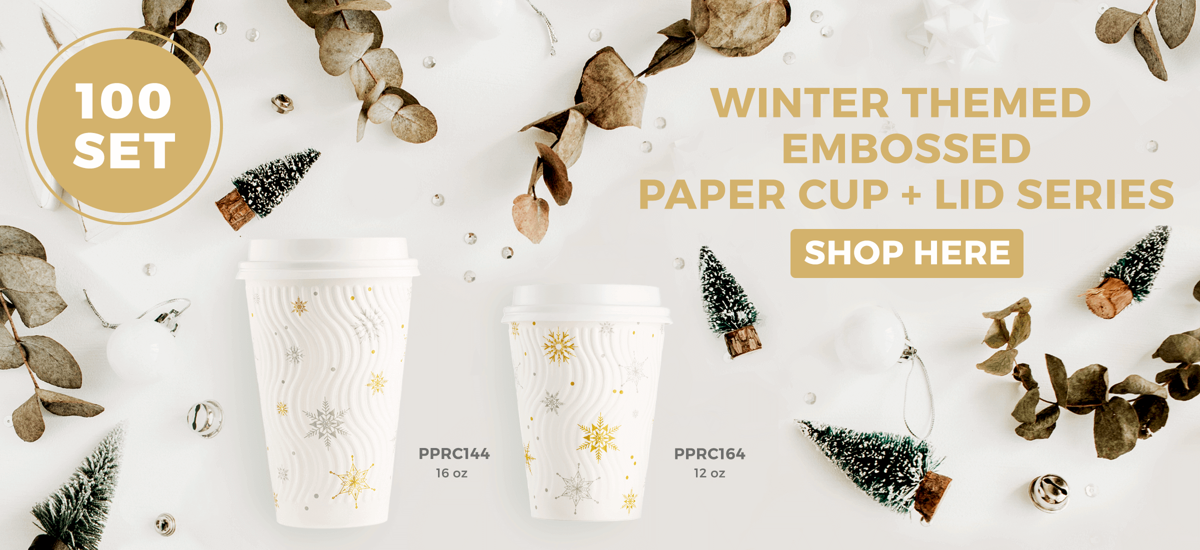 WINTER CUPS BANNER.png