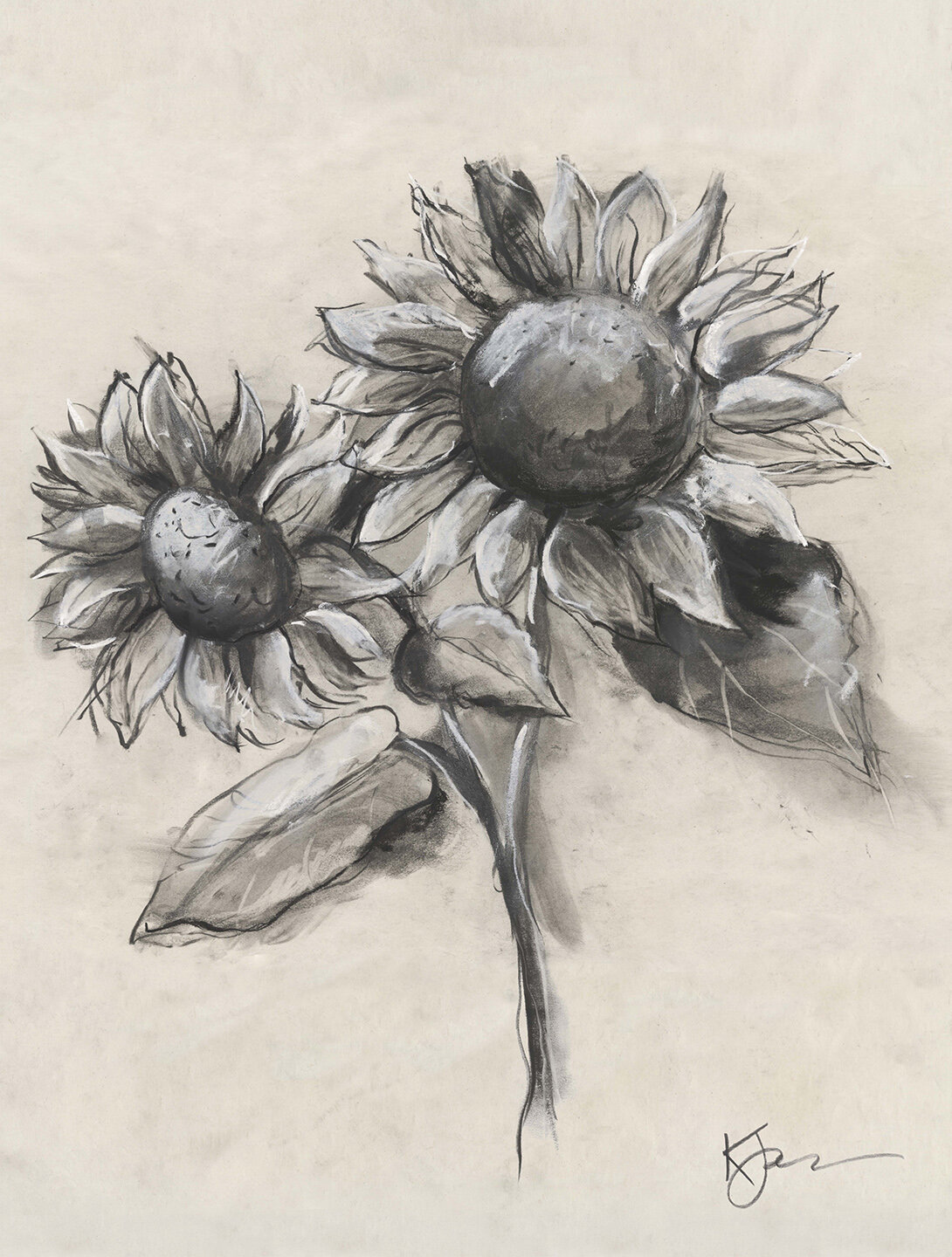 Sunflower drawing