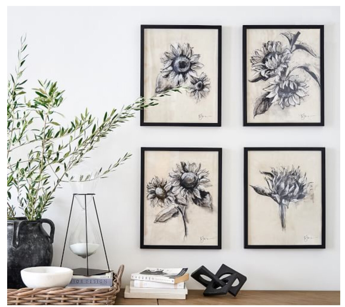 set of 4 Sunflower Drawings for Pottery Barn