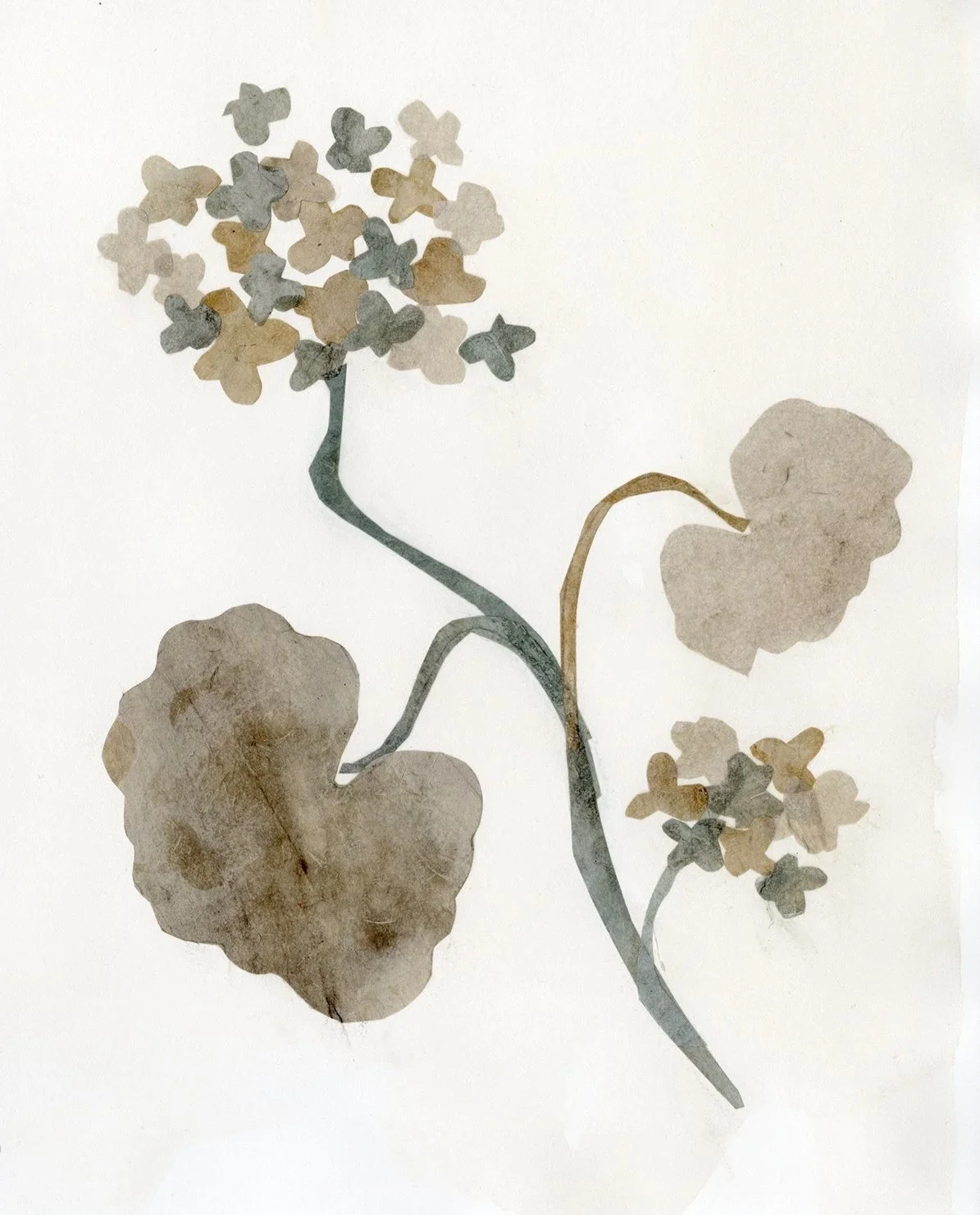 Paper Collage Botanicals Wall Art for Pottery Barn