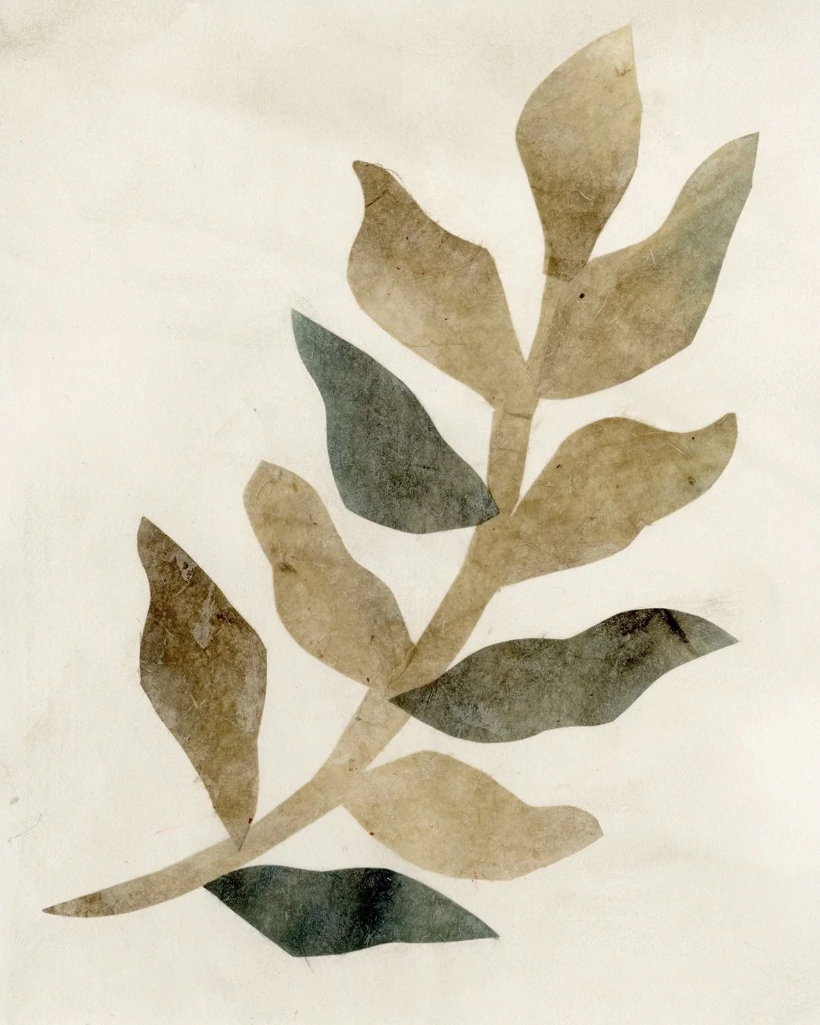 Paper Collage Botanicals Wall Art for Pottery Barn