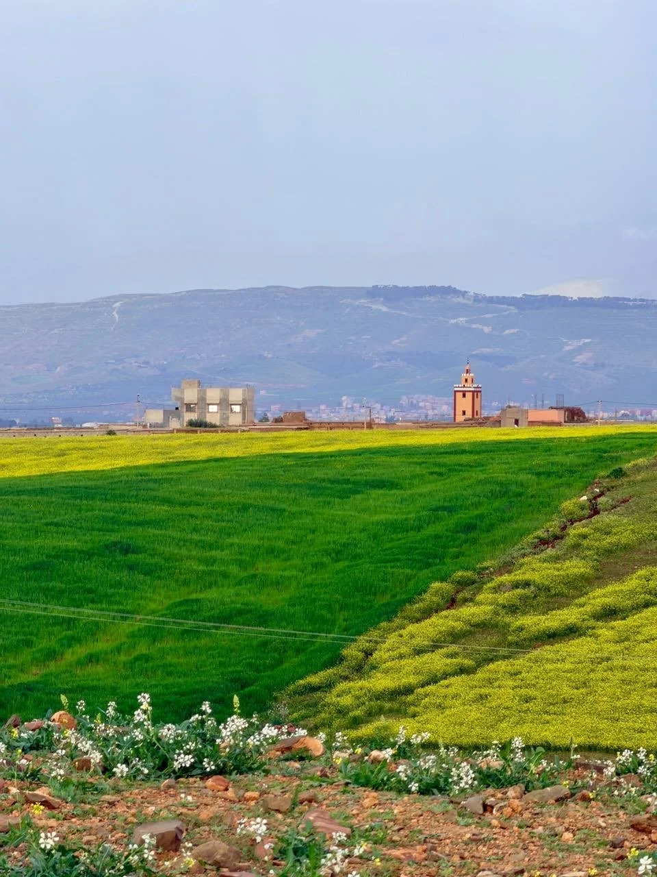 Some places reward you for returning. Morocco is one of them.

This past winter was extraordinary. The light was golden, the landscapes generous, the experiences richer than ever. And just when you think it cannot possibly give more, spring arrives. 