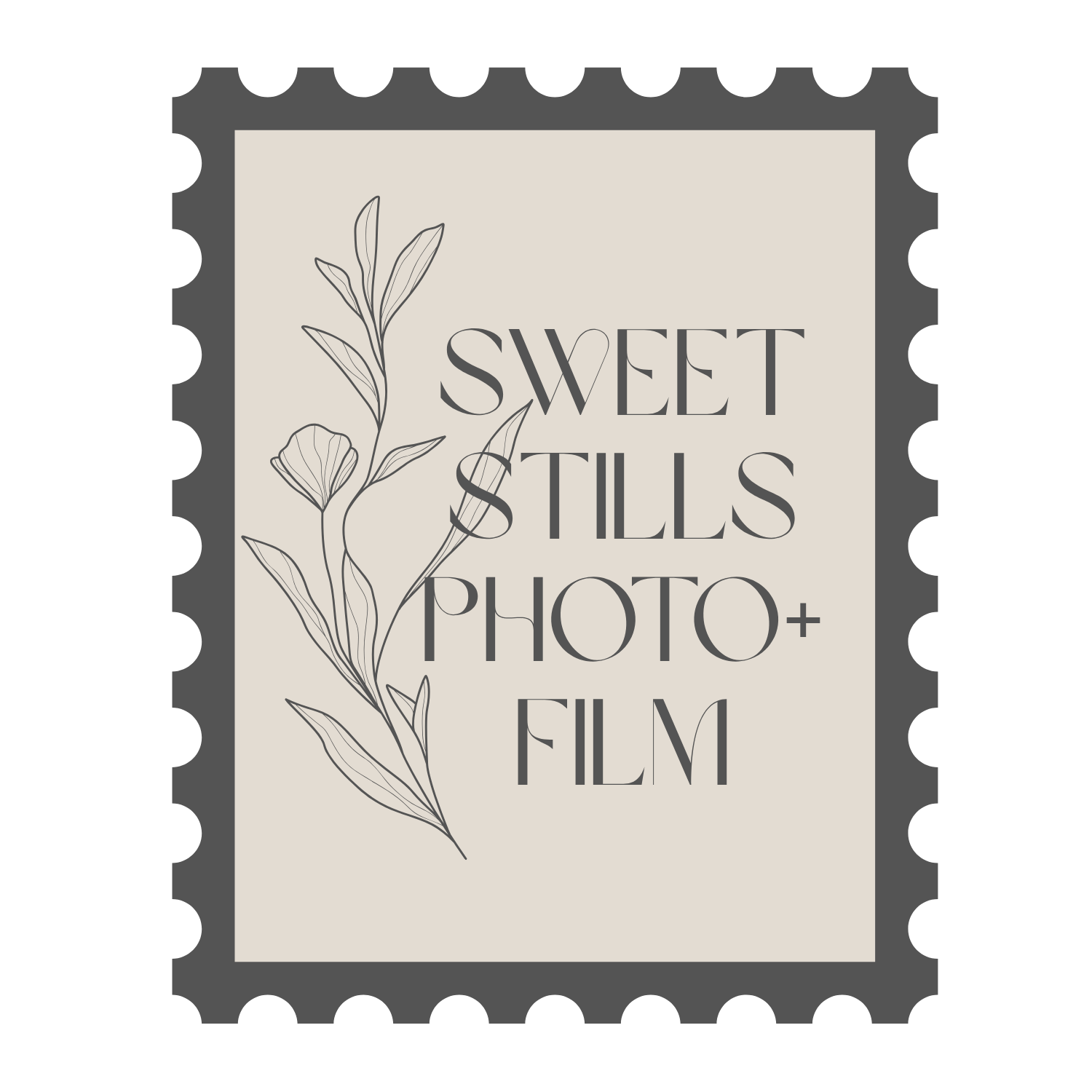 Sweet Stills Photography