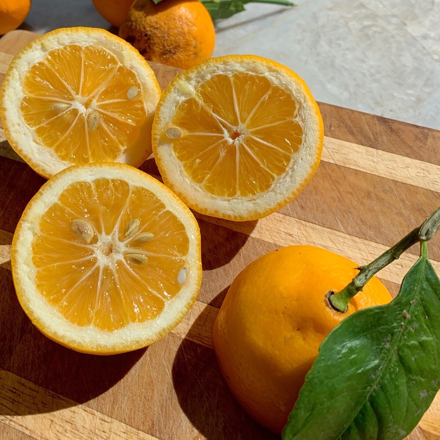 Acid is one of the most important elements of cooking. It can cut the fattiness or even brighten a dish. I like to use citrus and vinegar as my form of acid. 🍋🍊⁠
Tap the link in bio to learn more about acid. ⁠
⁠
#acid #vinegar #citrus #cooking #hea