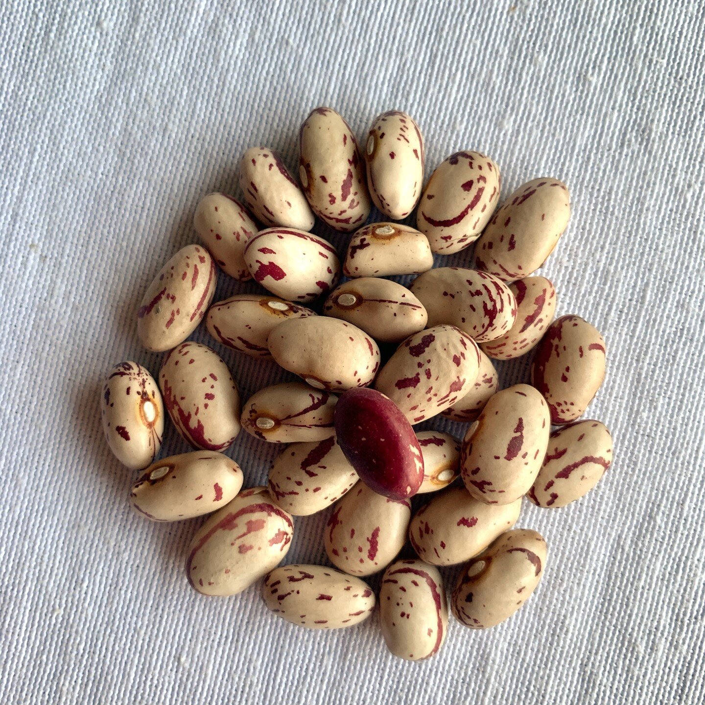 My ultimate favorite bean is the cranberry bean from Rancho Gordo. It has a buttery and creamy texture that is perfect for salads, pasta or with braised meats. Beans are a good source of protein and are also high in fiber. ⁠
⁠
Tap the link in bio to 
