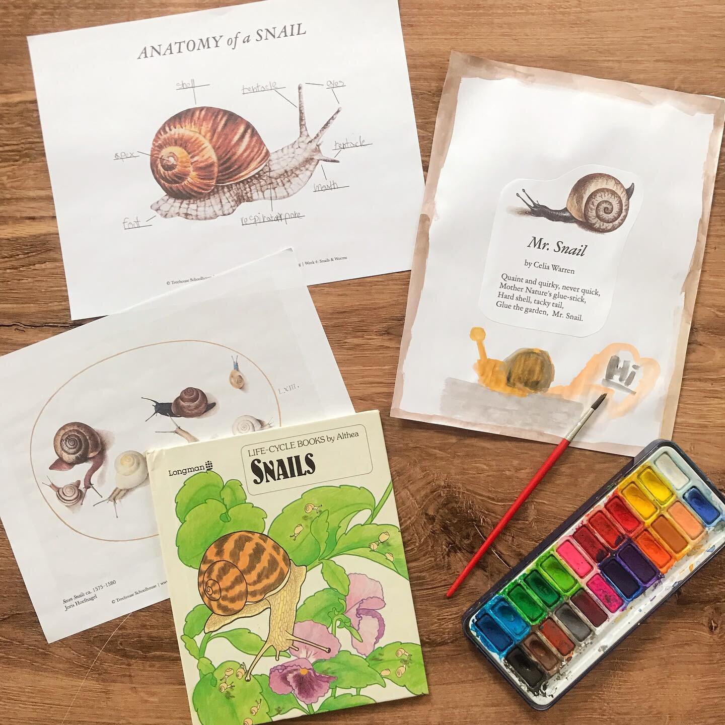 Homeschool Recap: Last week flew by! We explored worms and snails for our nature study and had a nice art &amp; poetry sesh. For our human body study we covered the digestive system and learned about how our system works from chewing all the way to t
