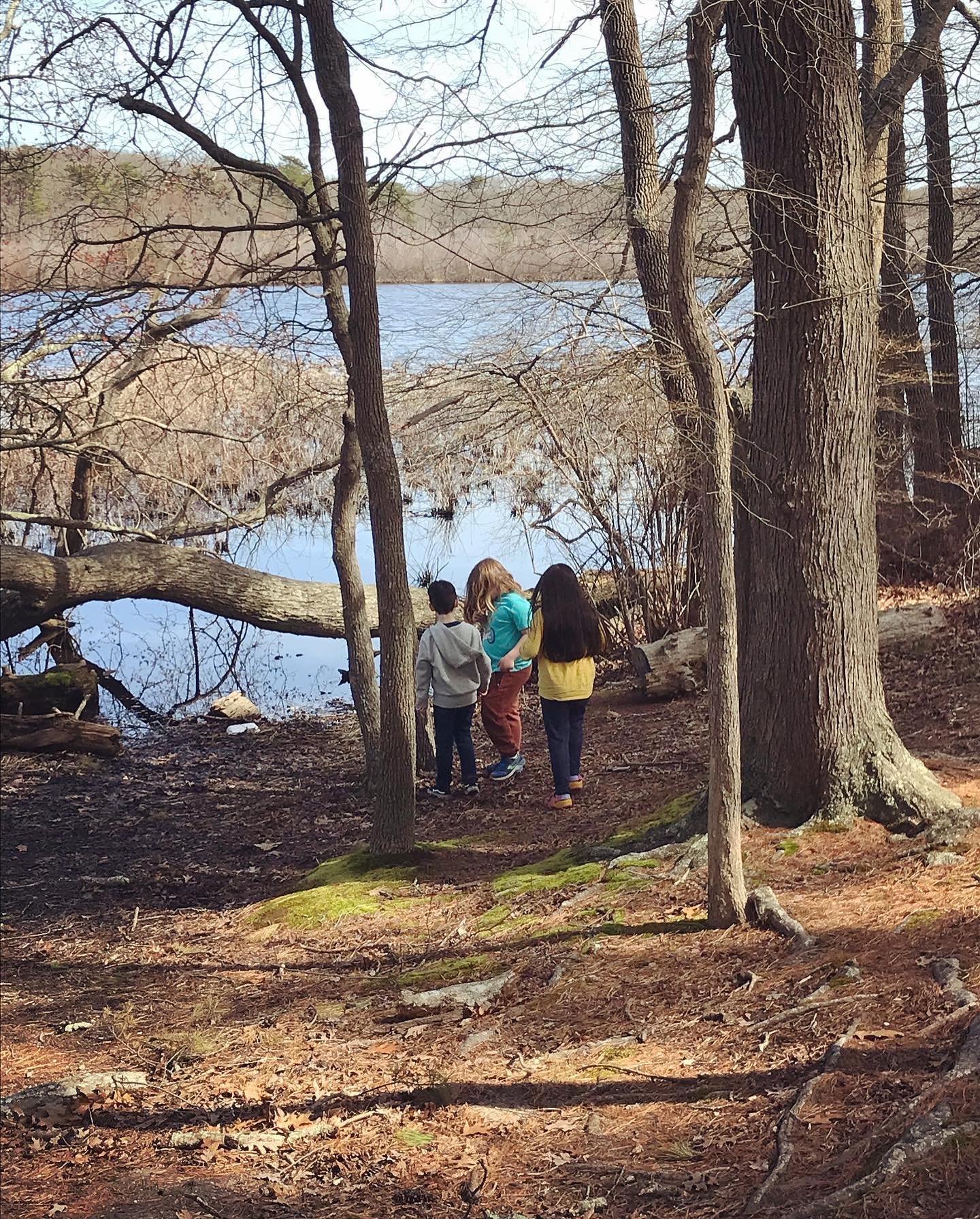 A beautiful day for a nature hike ✨ #nature #naturelover #funwithfriends #playallday #hike #naturewalk #spring #feelthesunshine #thisishomeschool