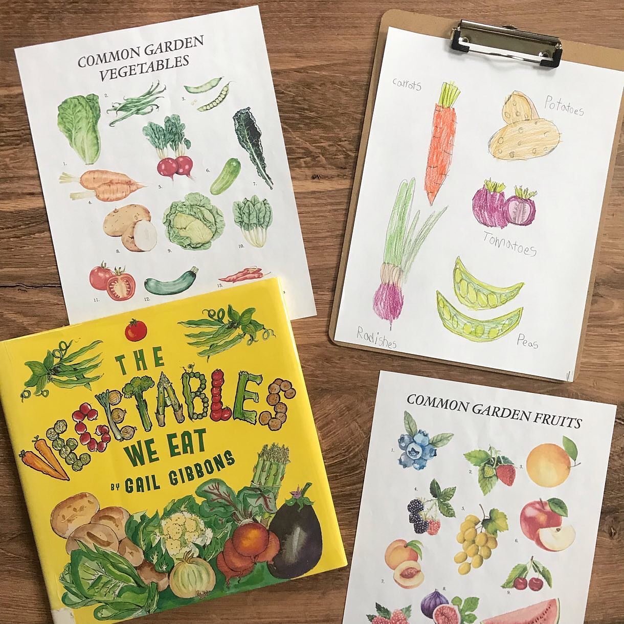 Homeschool Recap: The theme for our nature study this week was edible gardening so we reviewed the many common fruits and vegetables there are and focused a bit more on veggies. We read about the different groups (root, stem, tuber, seed, etc..), as 