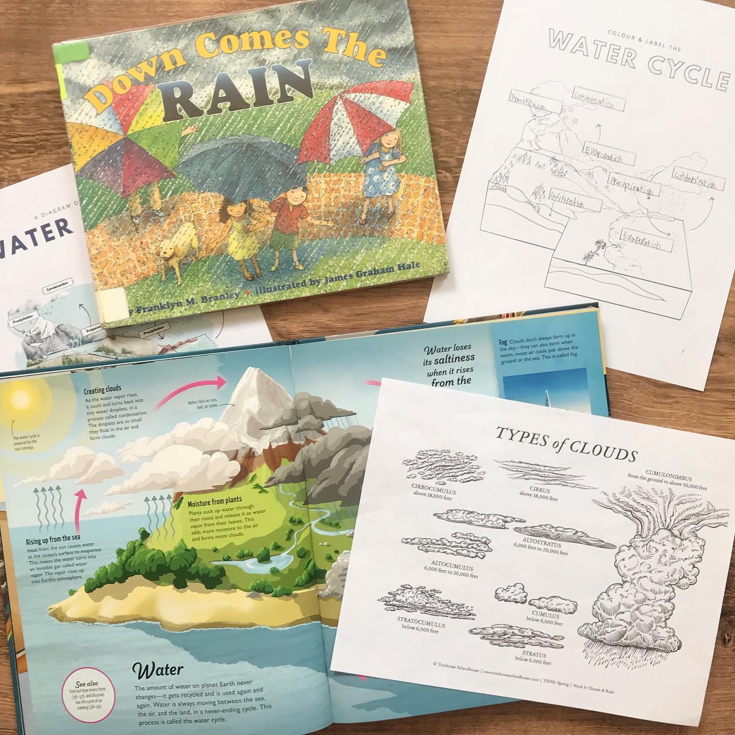 Homeschool Recap: This week we learned about clouds and rain for our nature study. We reviewed the many types of clouds and read about the water cycle. Elliot completed his diagram and we discussed each step of the cycle. We also had a nice art &amp;