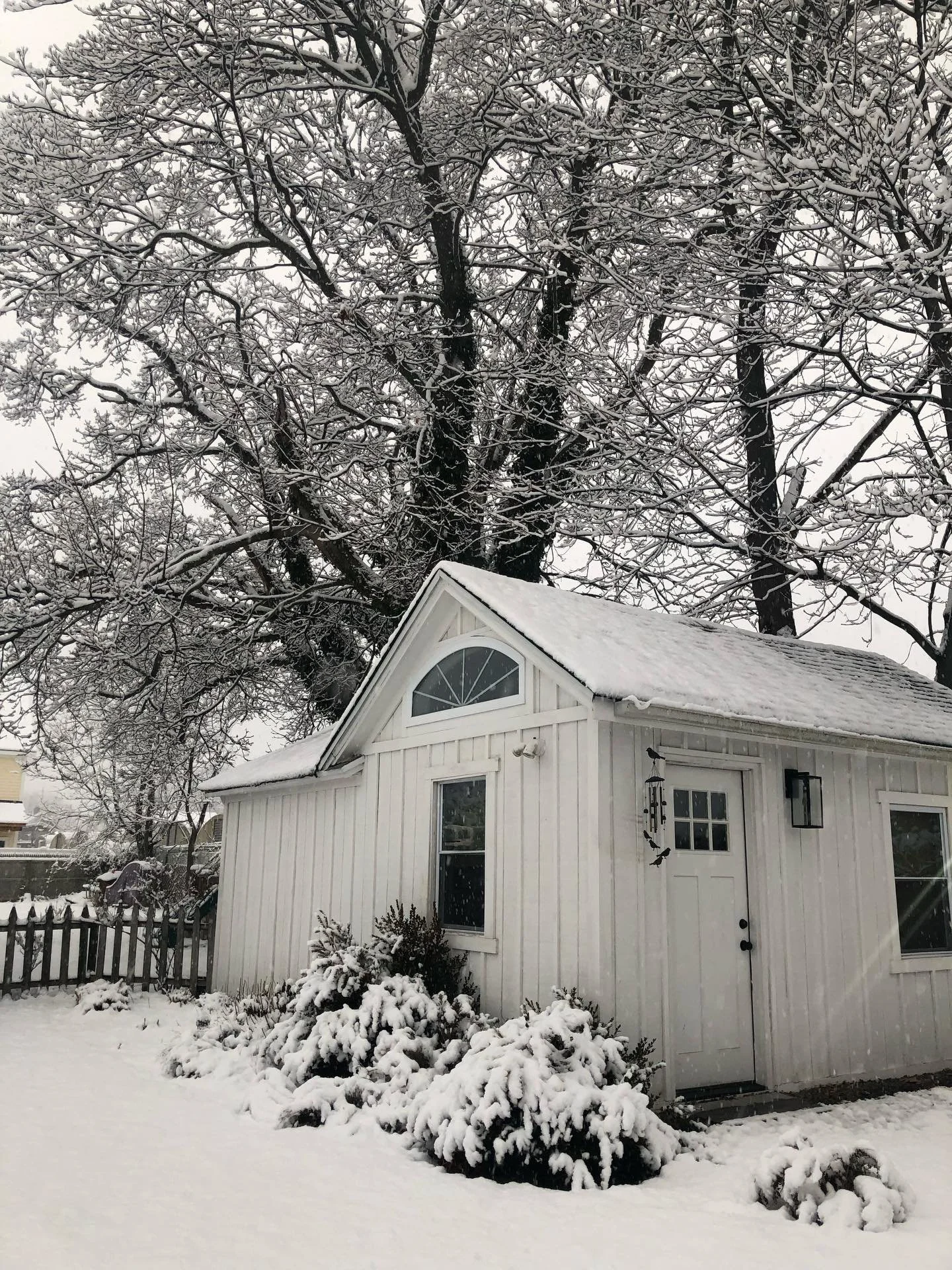 Our first snow of the season here in New York. Enjoyed a much needed cozy day at home relaxing ❄️ #snowday #firstsnow #winterdays