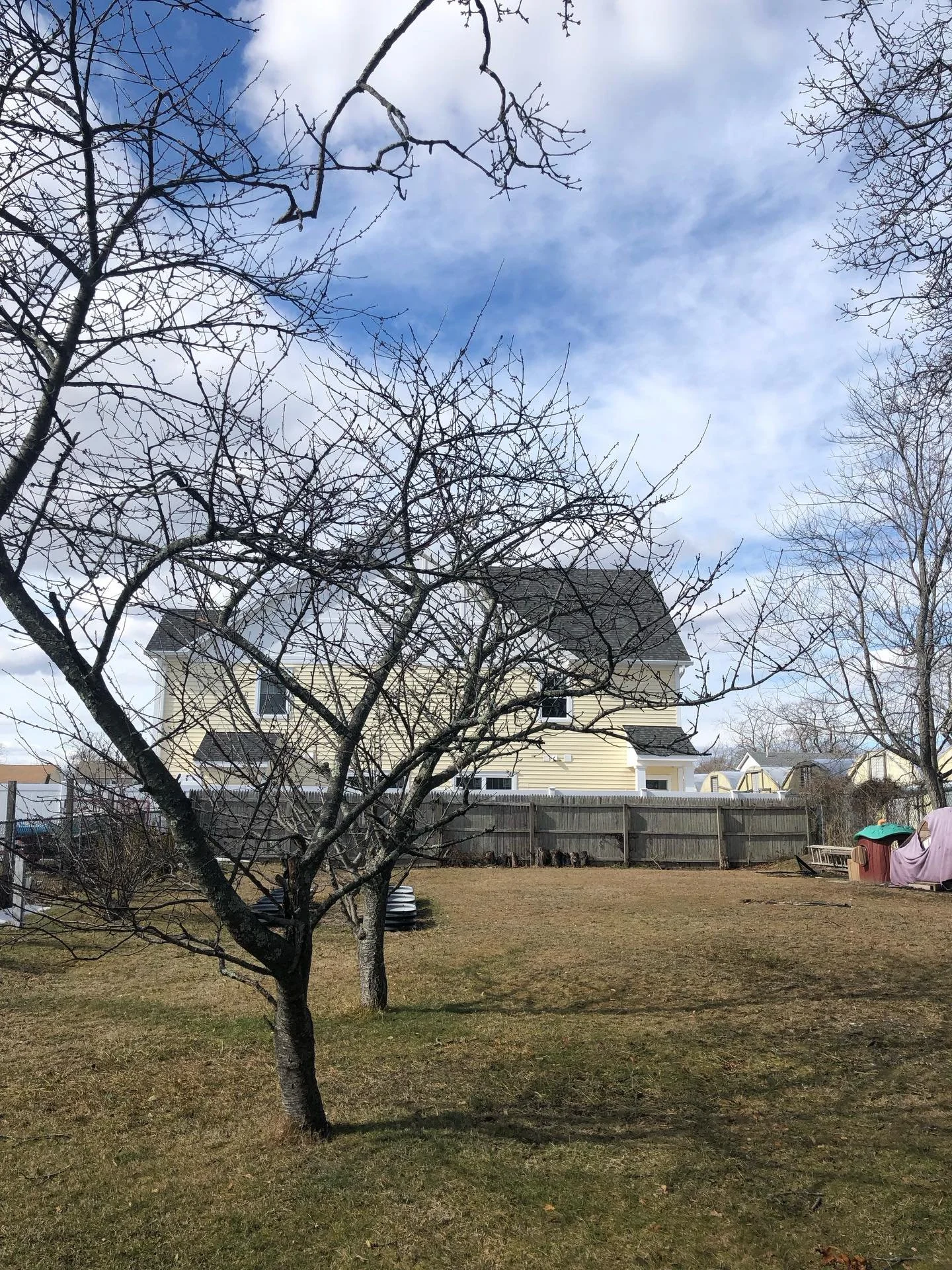 Taking in this beautiful winter day before more snow comes. I was so happy to finally see grass. I&rsquo;m so done with winter. Spring can&rsquo;t come soon enough! #winterdays #blueskies #feelthesunshine #naturelover #homesweethome