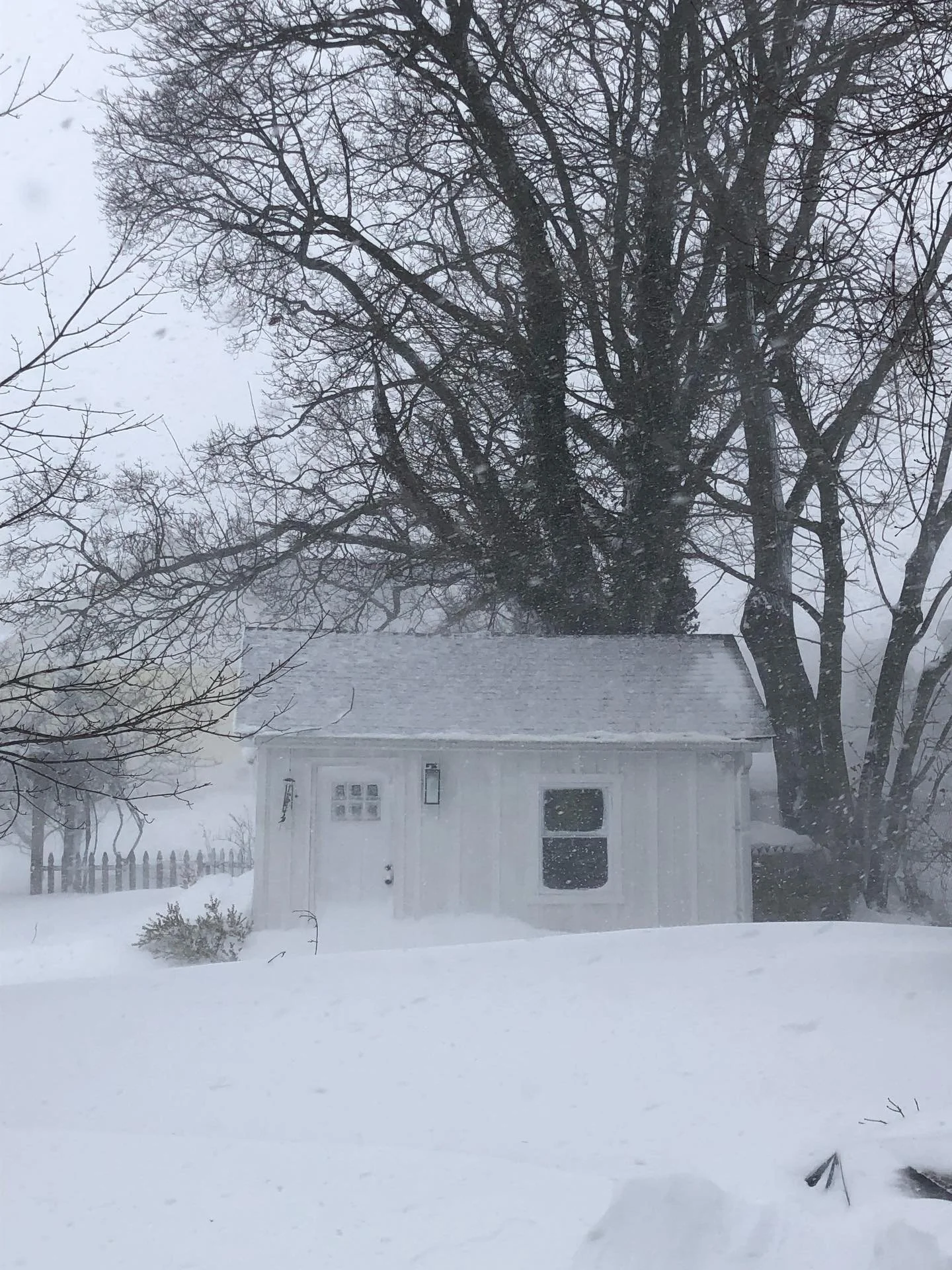 2026 Blizzard ❄️ I&rsquo;m so over winter #winterdays #ny #longisland #snowfordays #snowedin