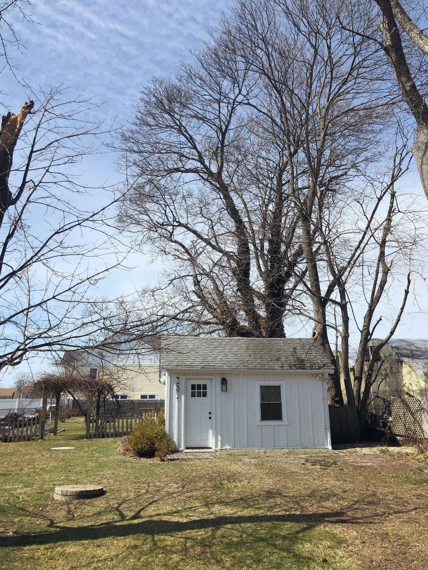 Spring is finally here! I can&rsquo;t wait for the warmer weather to arrive. I&rsquo;m so over winter and ready for the sunshine ✨ #spring #springequinox #feelthesunshine #naturelover #blueskies