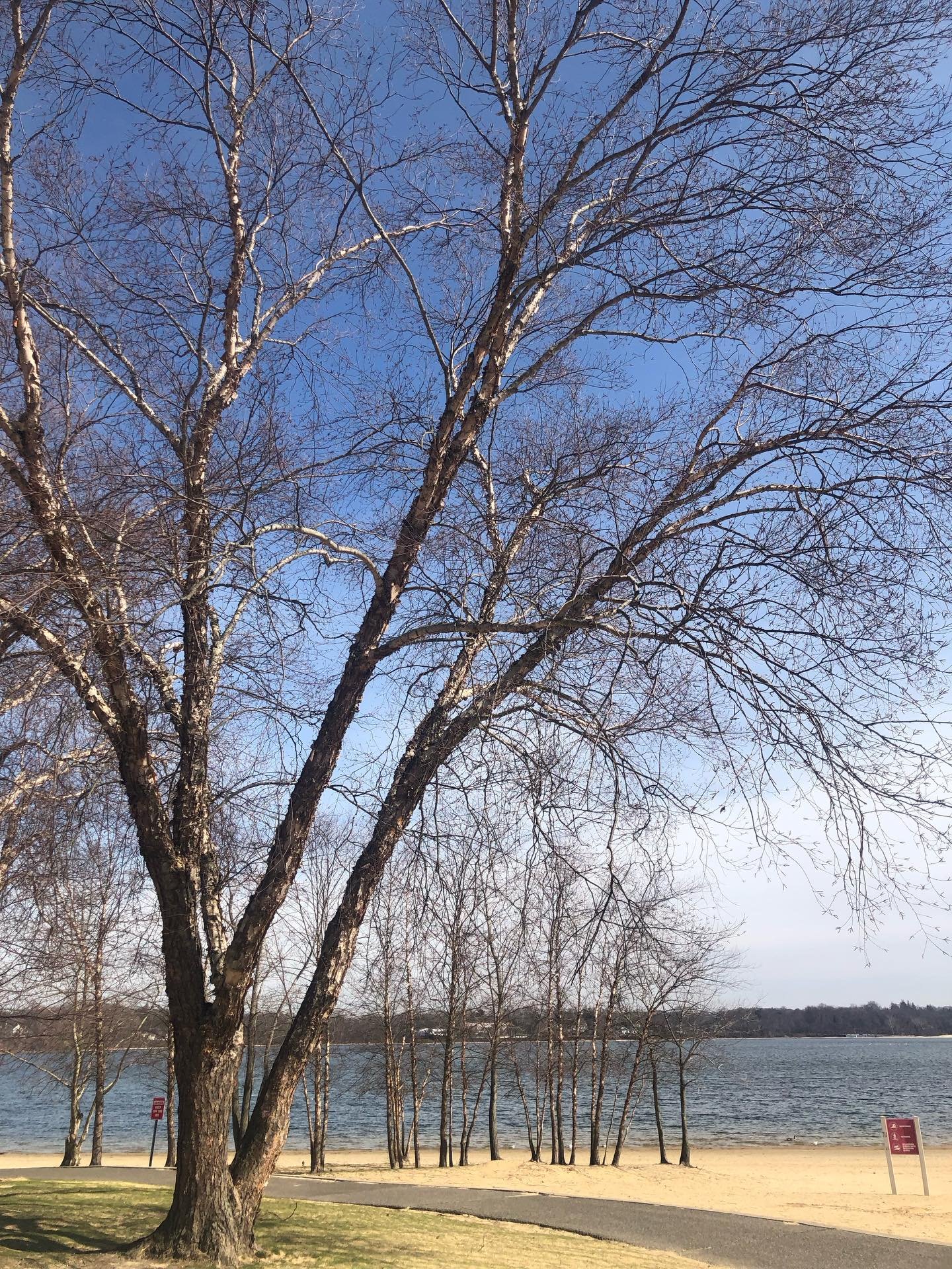 First park day of the season. Still a bit chilly but it was good to get out and let the kids run around. Spring, I&rsquo;ve been waiting for you ✨ #springdays #atthepark #funwithfriends #longisland