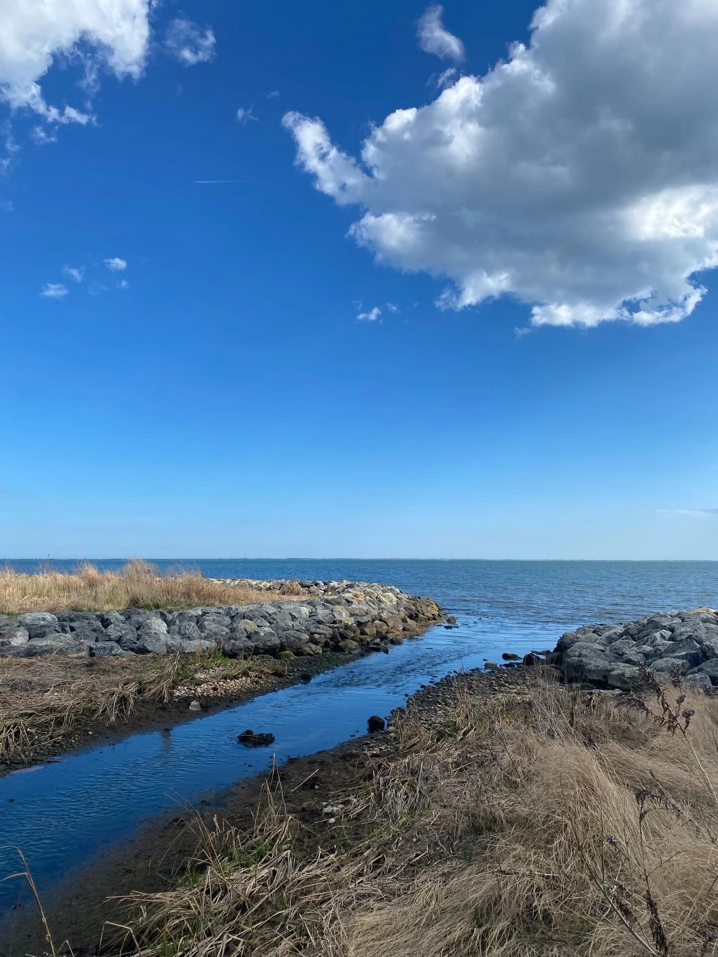 Park days are the best days ✨#feelthesunshine #spring #atthepark #funwithfriends