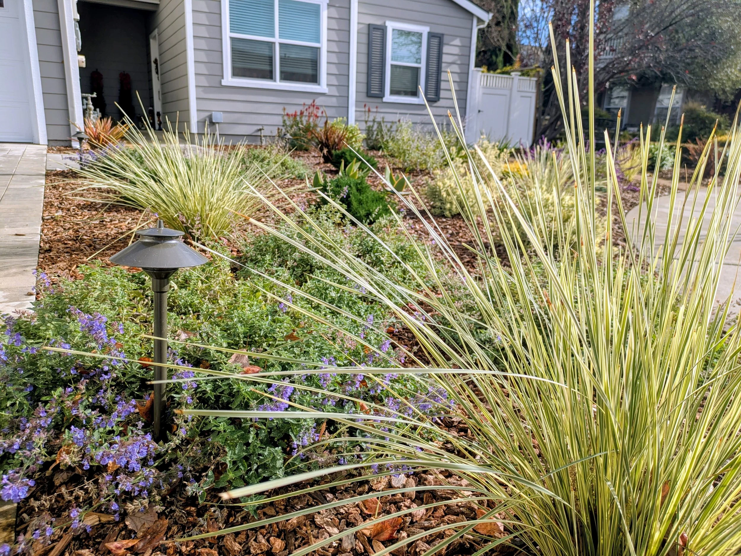 San Jose. The Sustainable ADU Front Yard