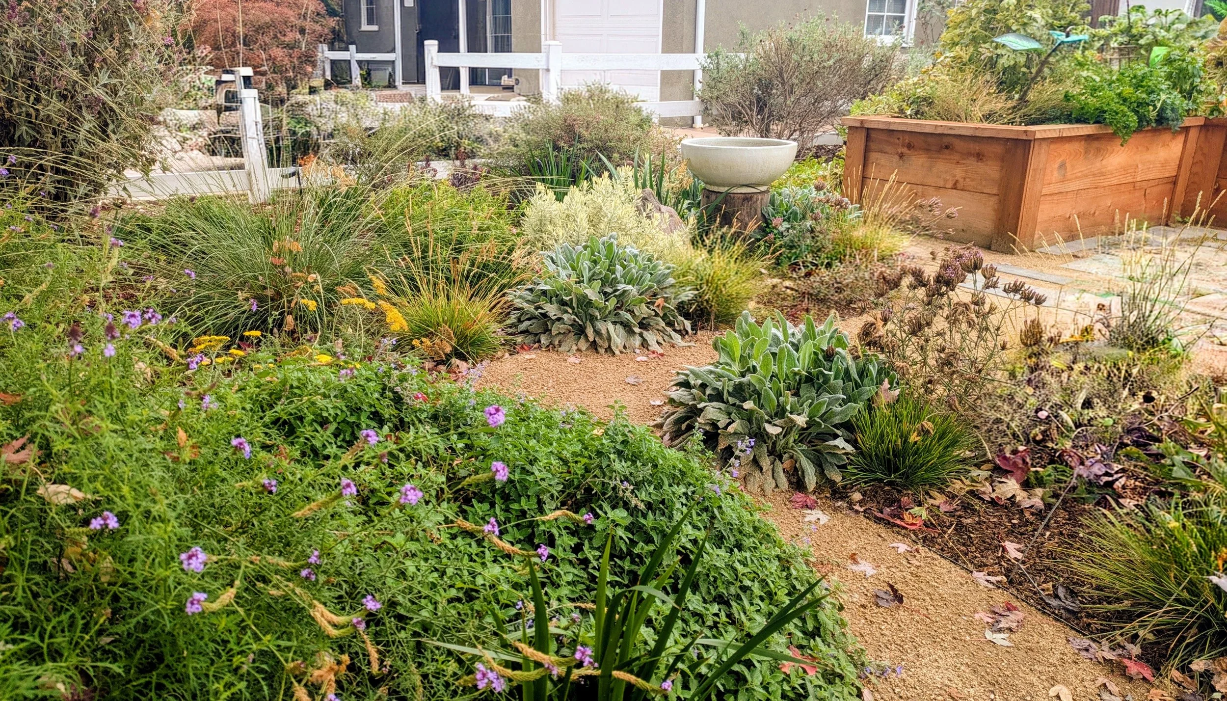 San Jose. Lush Front Yard, Edible Cottage Oasis, Chelsea-Inspired