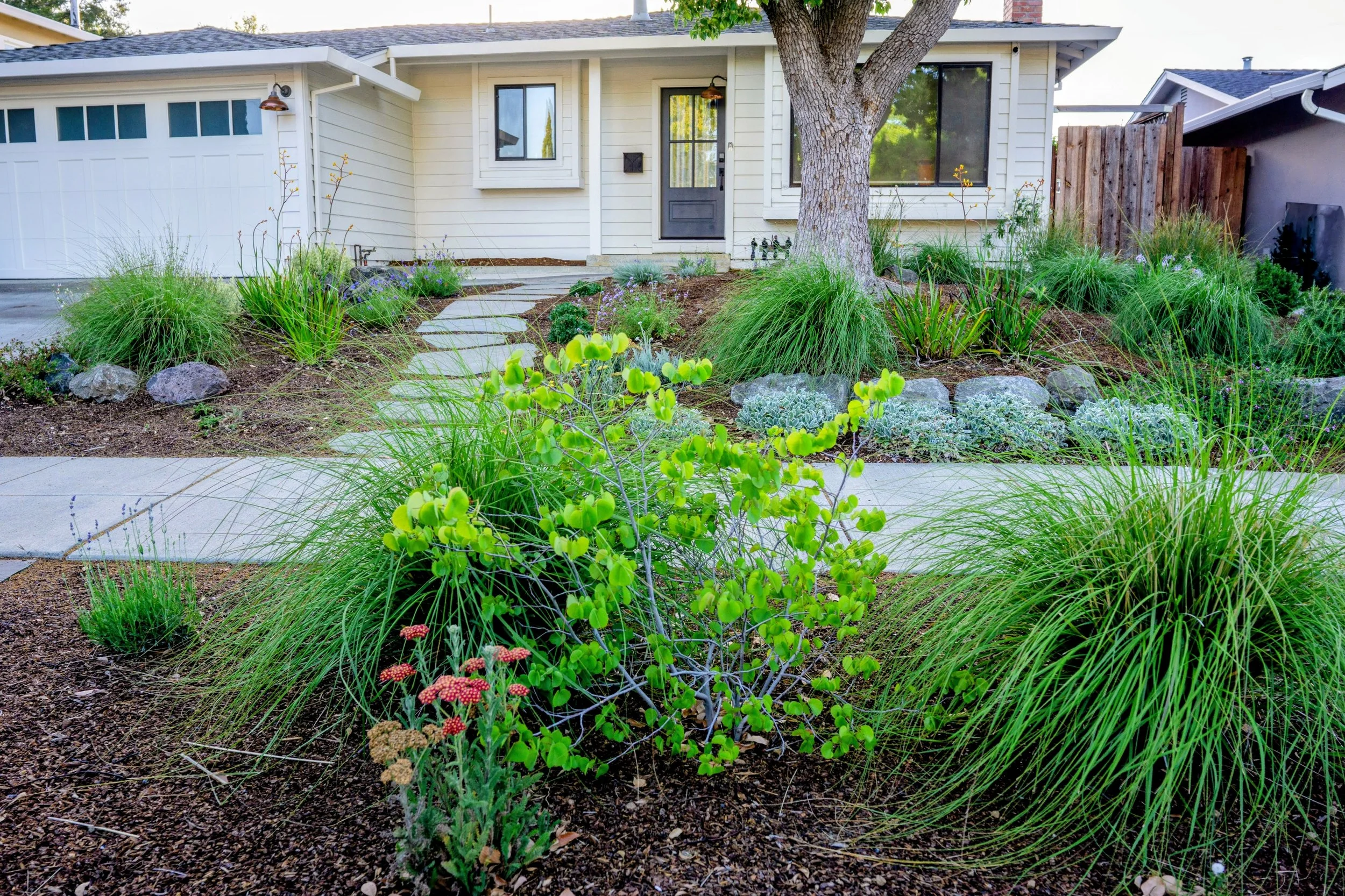 Campbell. Front yard curb appeal with sustainability in mind.