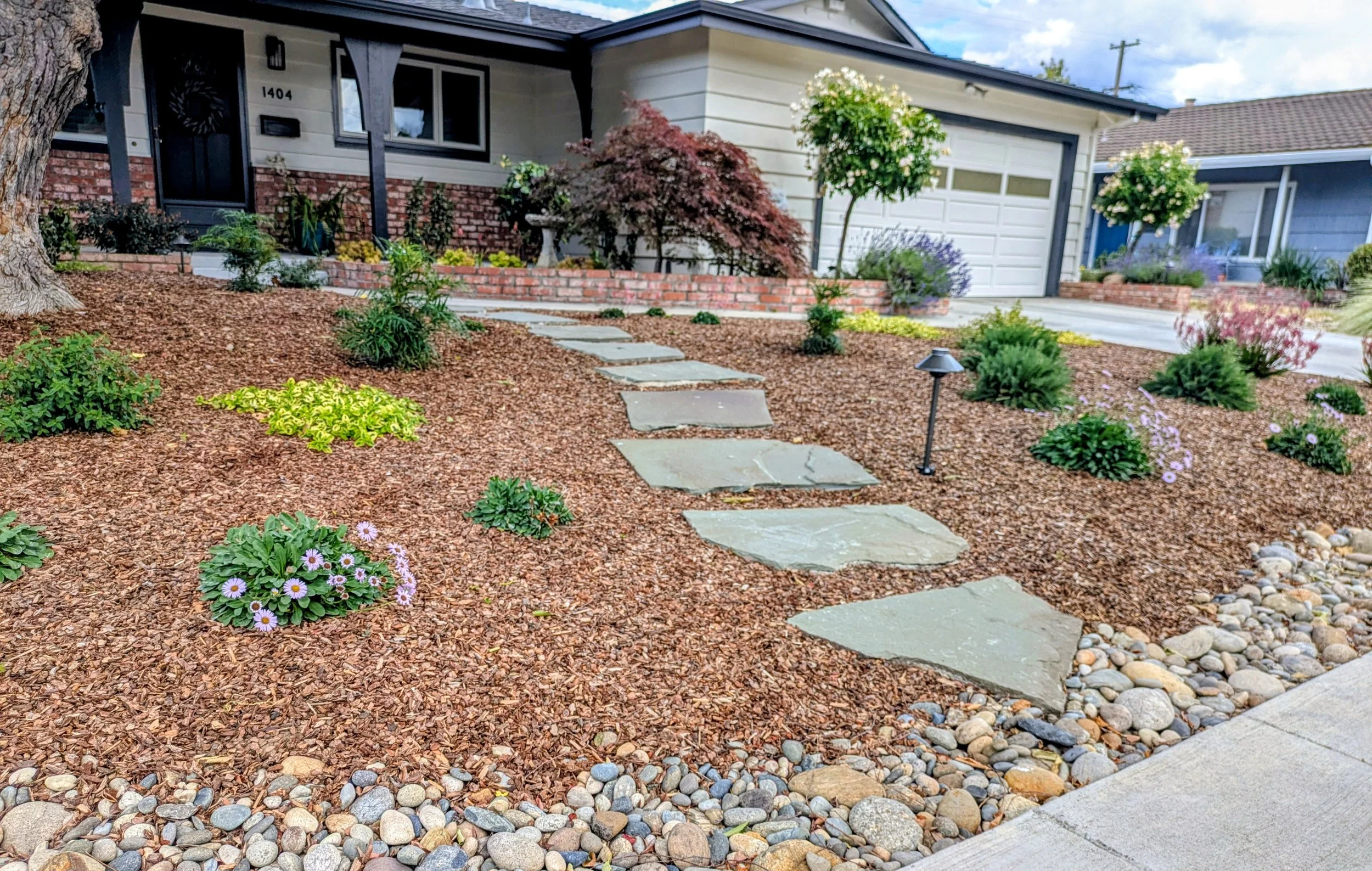 San Jose. Lawn Gone and New Sustainable Curb Appeal.