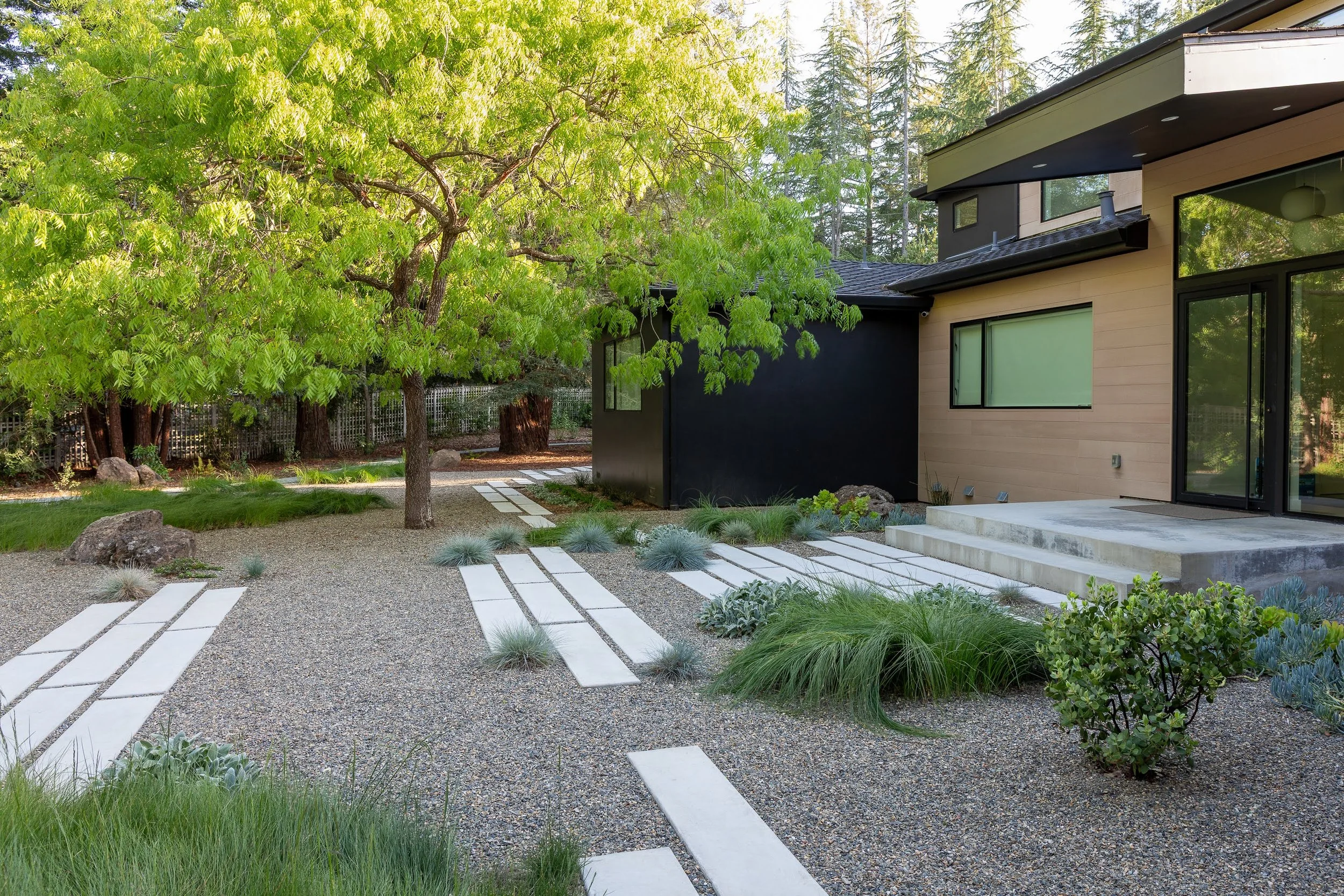 Modern Roots: A Portola Valley Garden
