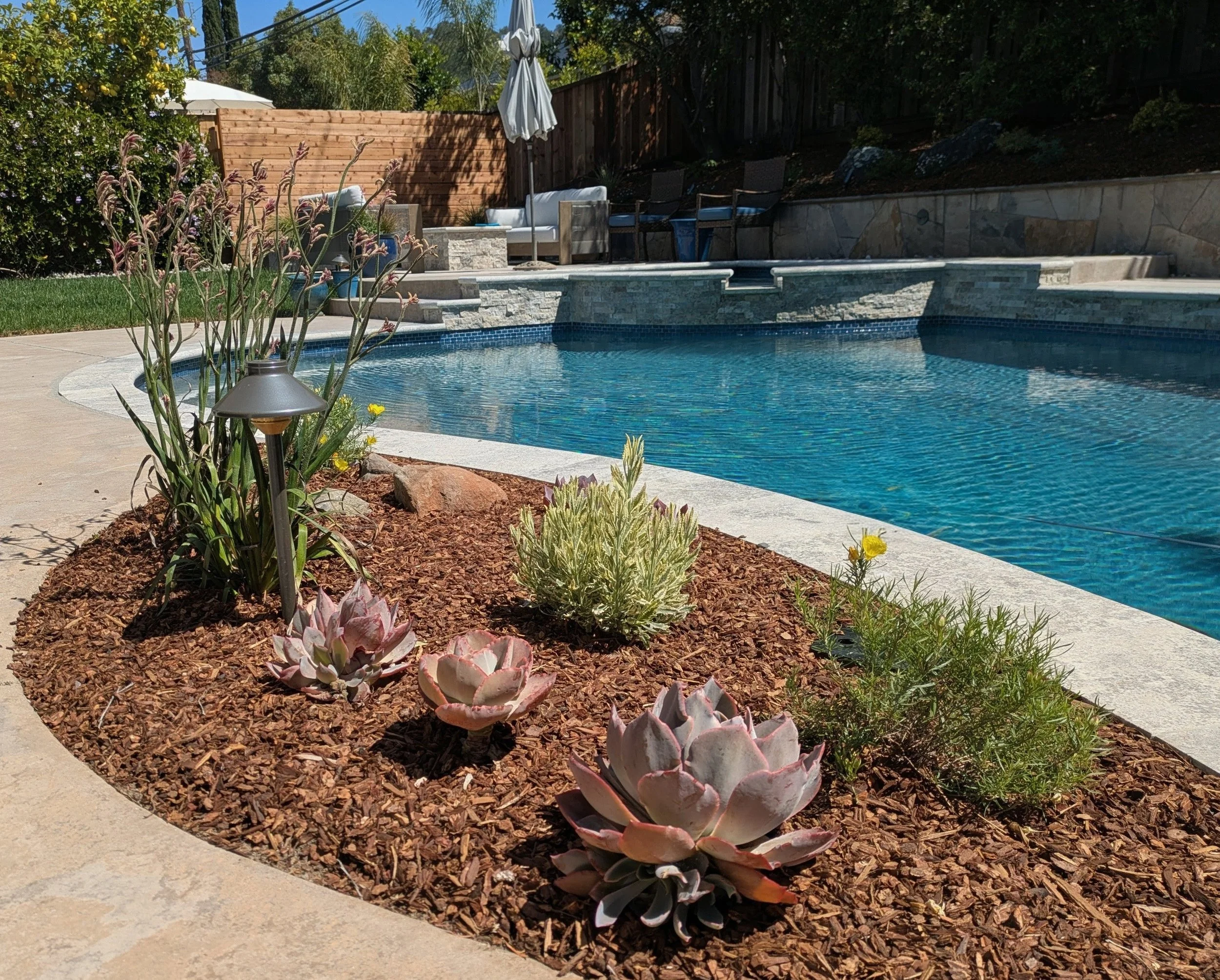 San Jose. Fire, Water, and Stone: A Terraced Retreat