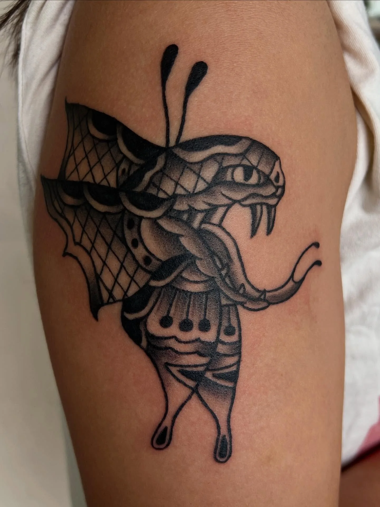 Siq snake butterfly done by @cesxtattoos 

Check out his page for more of his tattoos and flash designs. Dm to book an appointment with him 

#northpalmbeach #westpalmbeach #palmbeachgardens #palmbeach #lakepark #wellington #jupiter